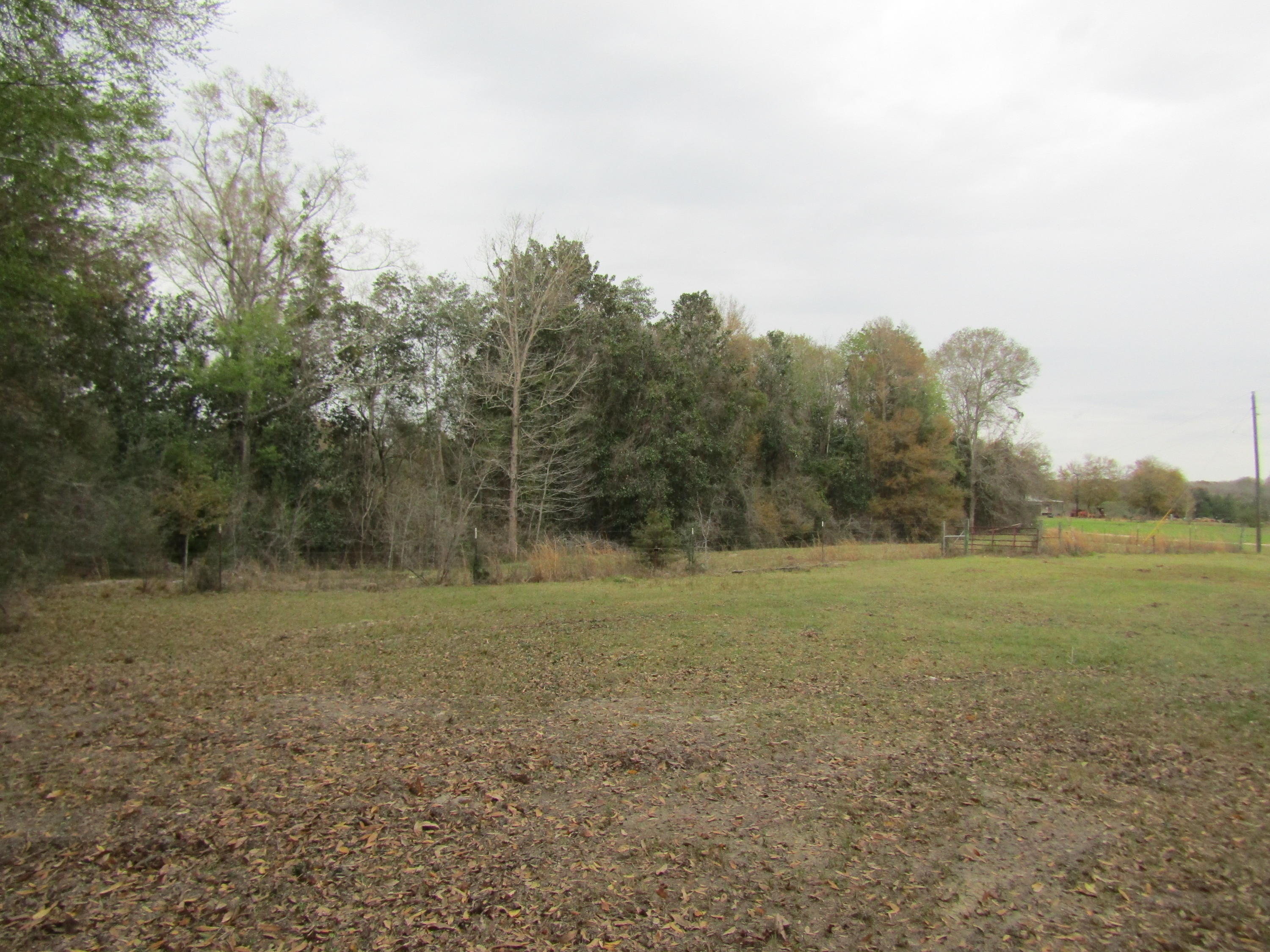 2948 Alford Road Samson, AL 36477 - Photo 69 of 121 a view of a field with trees in background