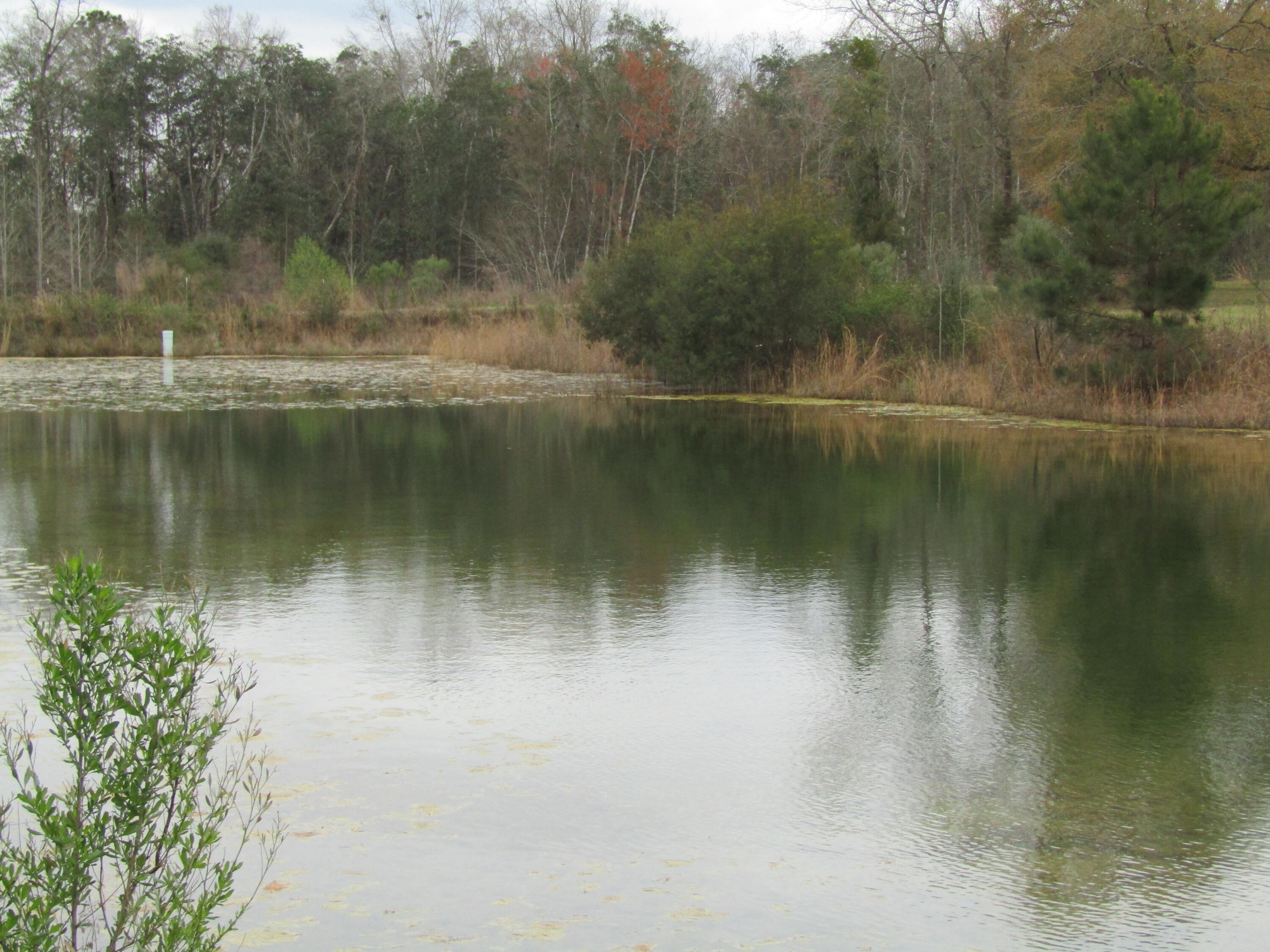 2948 Alford Road Samson, AL 36477 - Photo 7 of 121 Bigger Pond #1