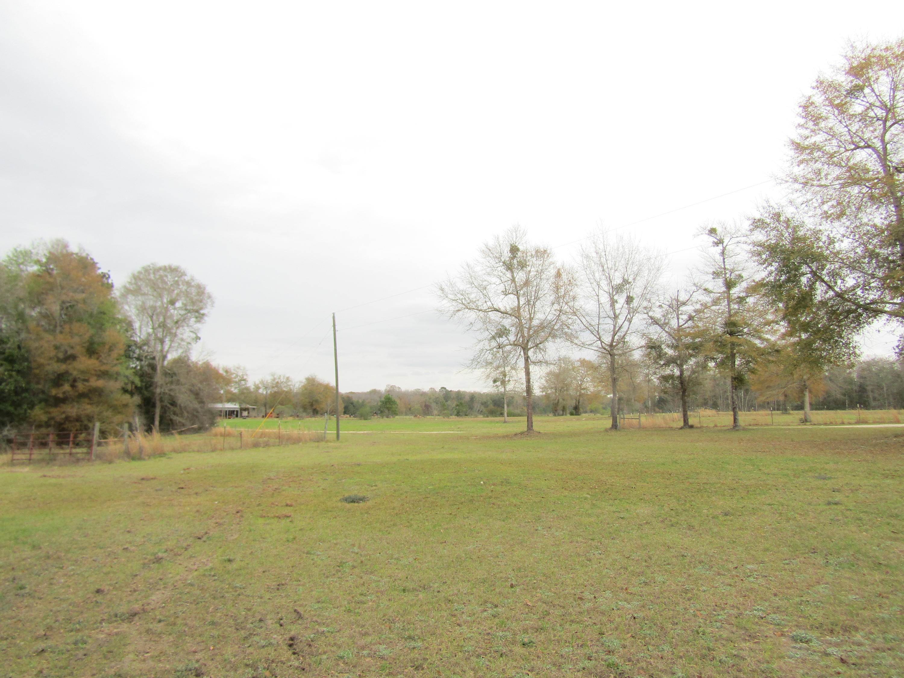 2948 Alford Road Samson, AL 36477 - Photo 71 of 121 IMG_1765