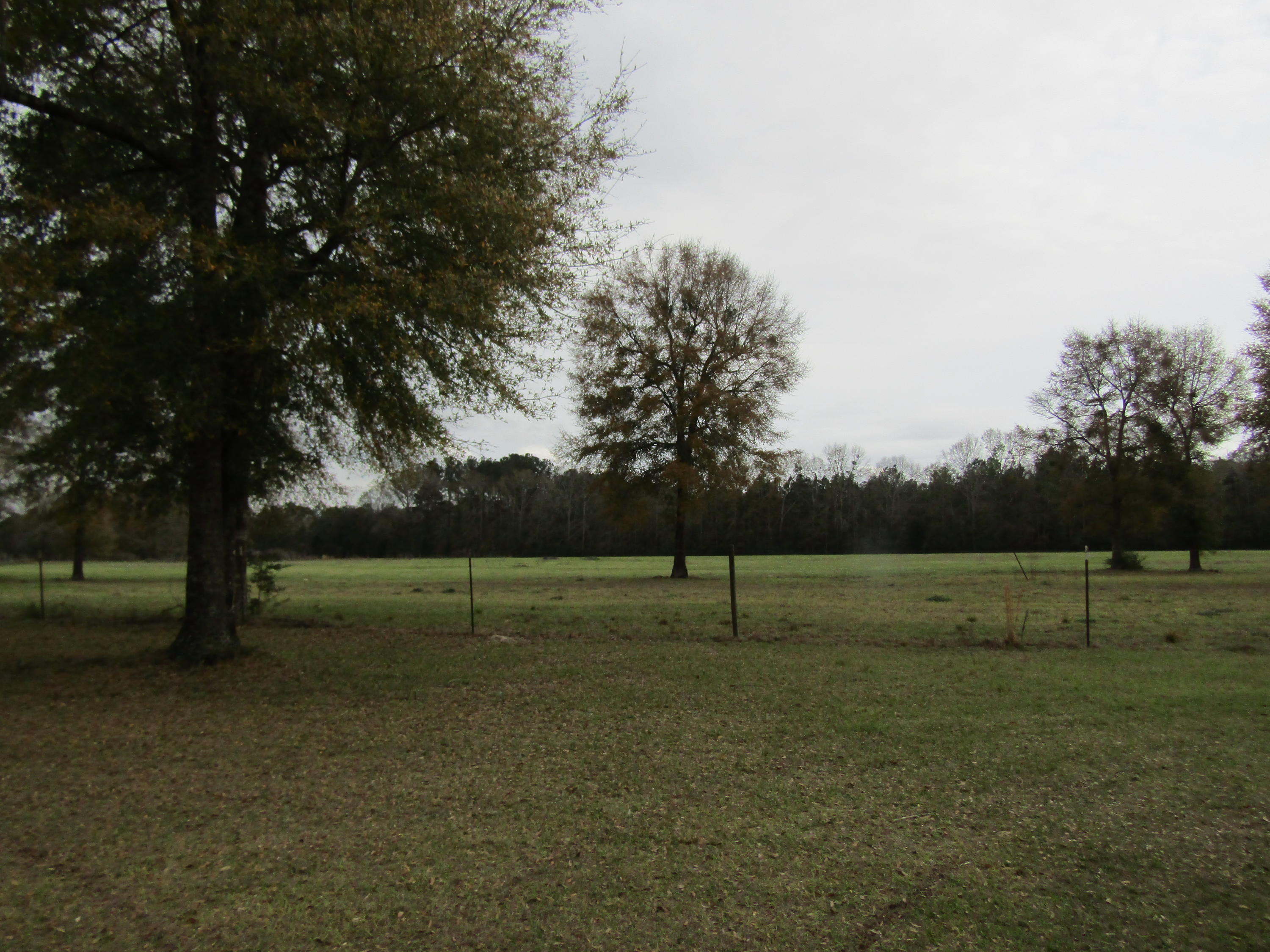 2948 Alford Road Samson, AL 36477 - Photo 72 of 121 a view of outdoor space with deck and yard