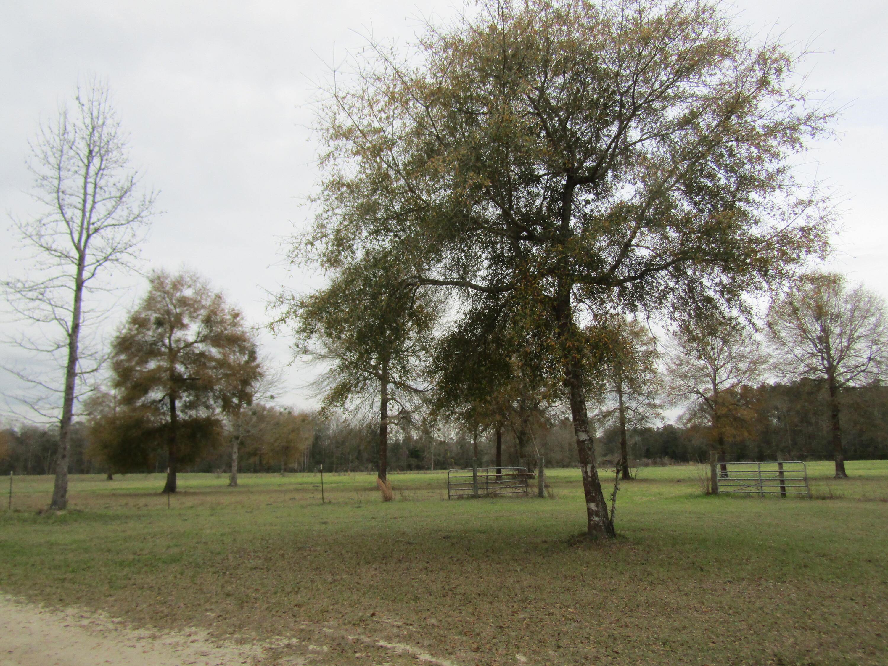 2948 Alford Road Samson, AL 36477 - Photo 73 of 121 IMG_1769
