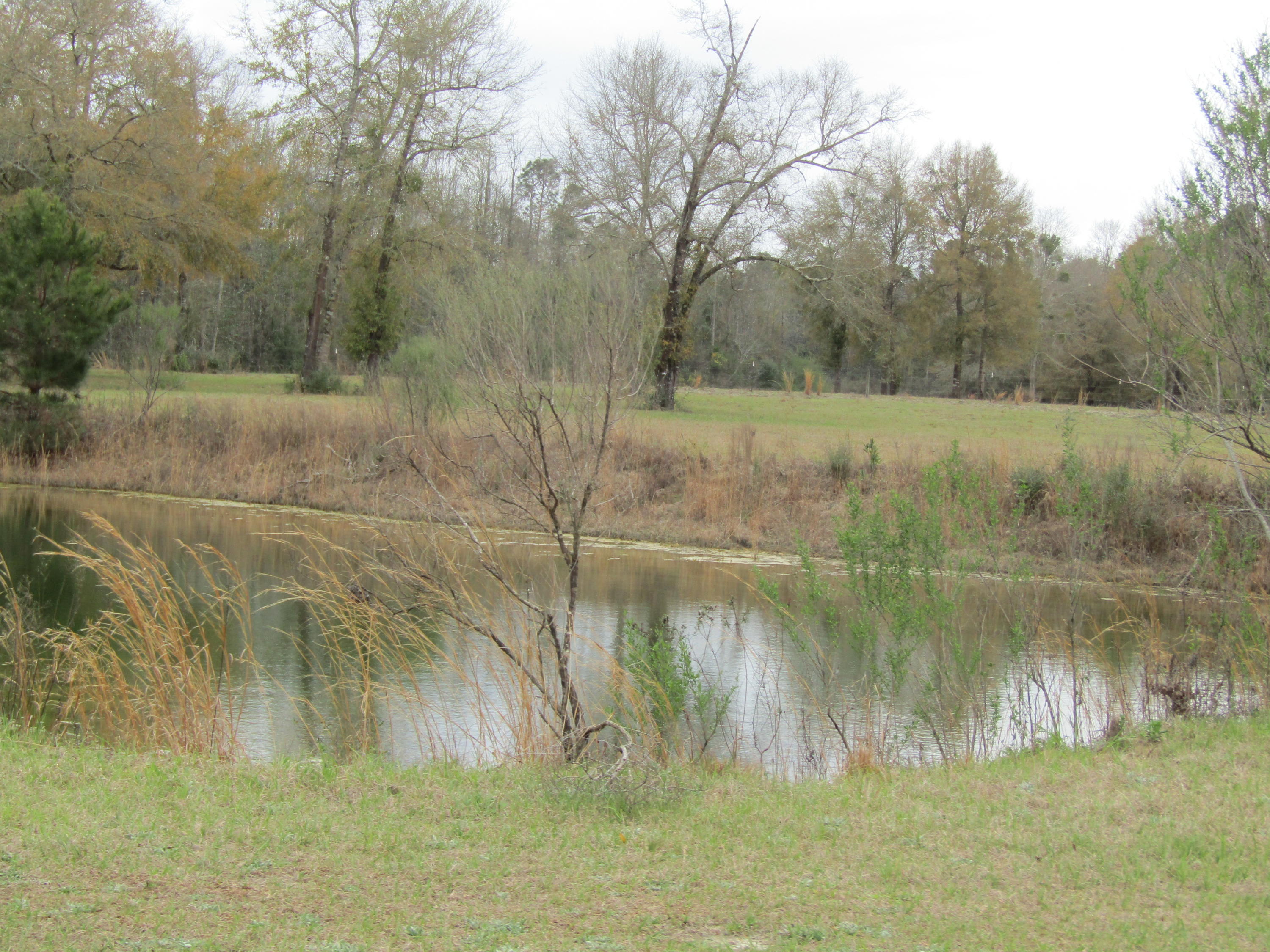 2948 Alford Road Samson, AL 36477 - Photo 76 of 121 small pond