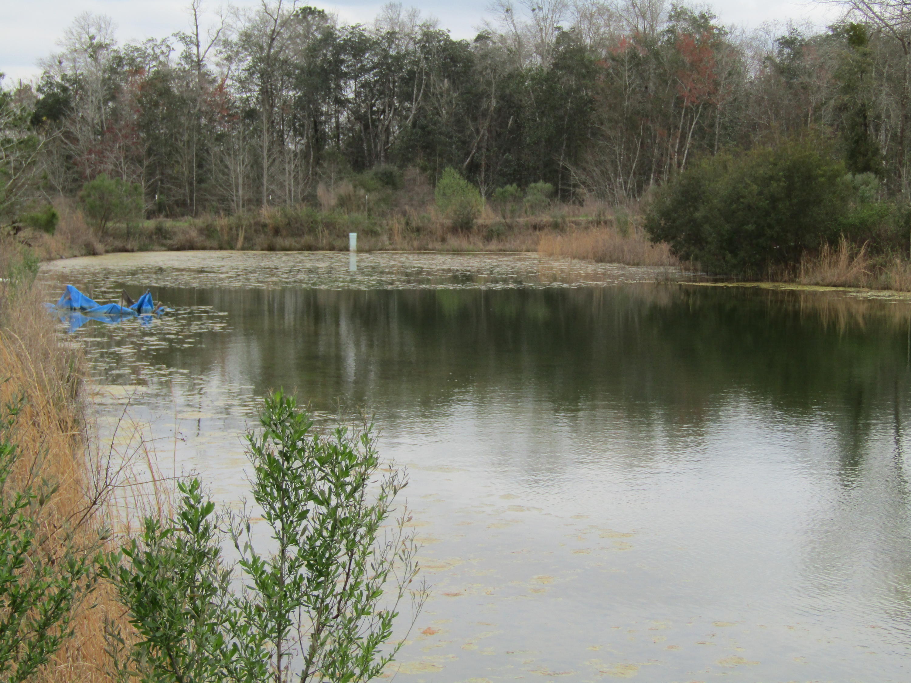 2948 Alford Road Samson, AL 36477 - Photo 77 of 121 Bigger Pond
