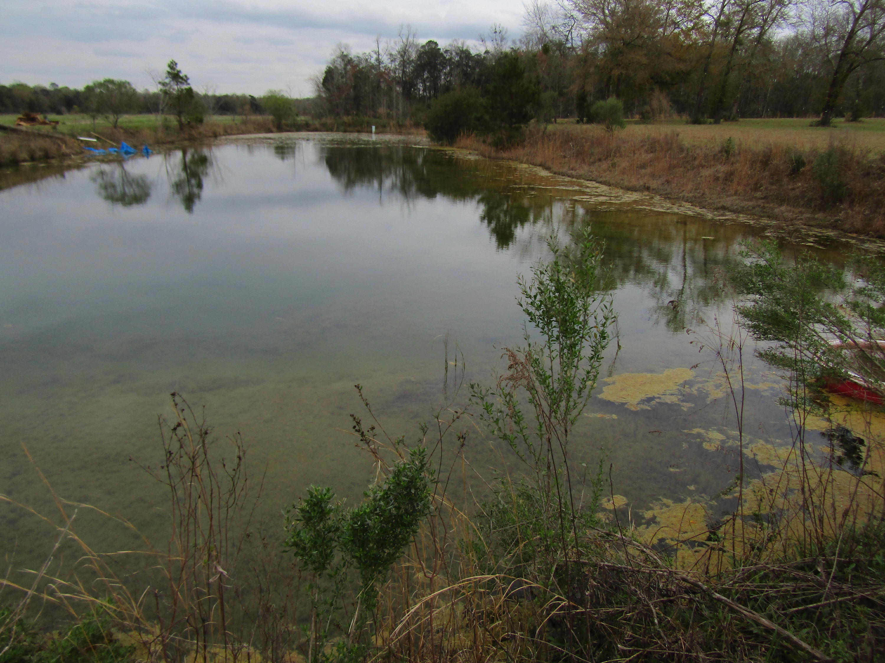 2948 Alford Road Samson, AL 36477 - Photo 78 of 121 Bigger pond