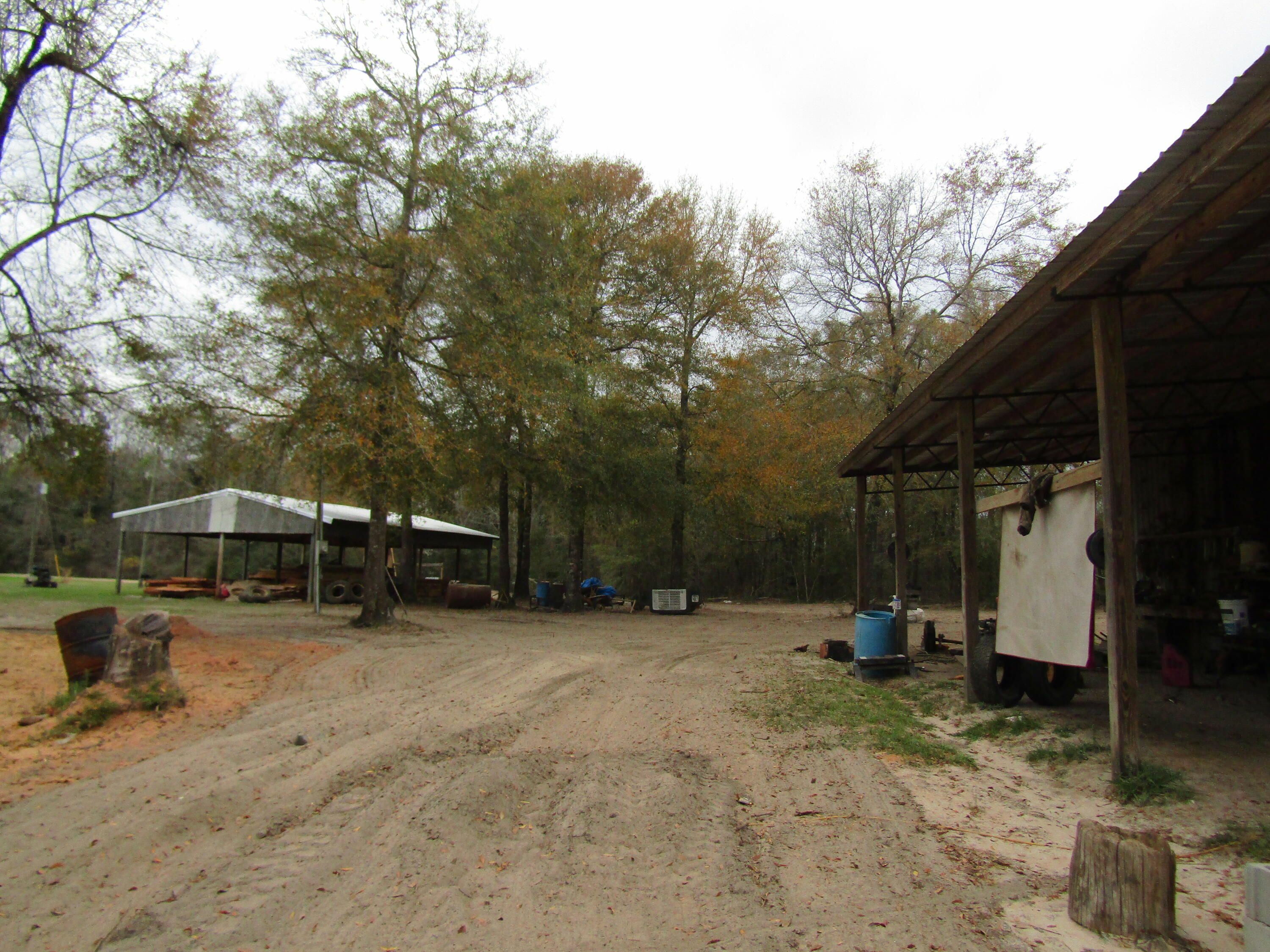 2948 Alford Road Samson, AL 36477 - Photo 86 of 121 a view of a house with a yard and a large tree
