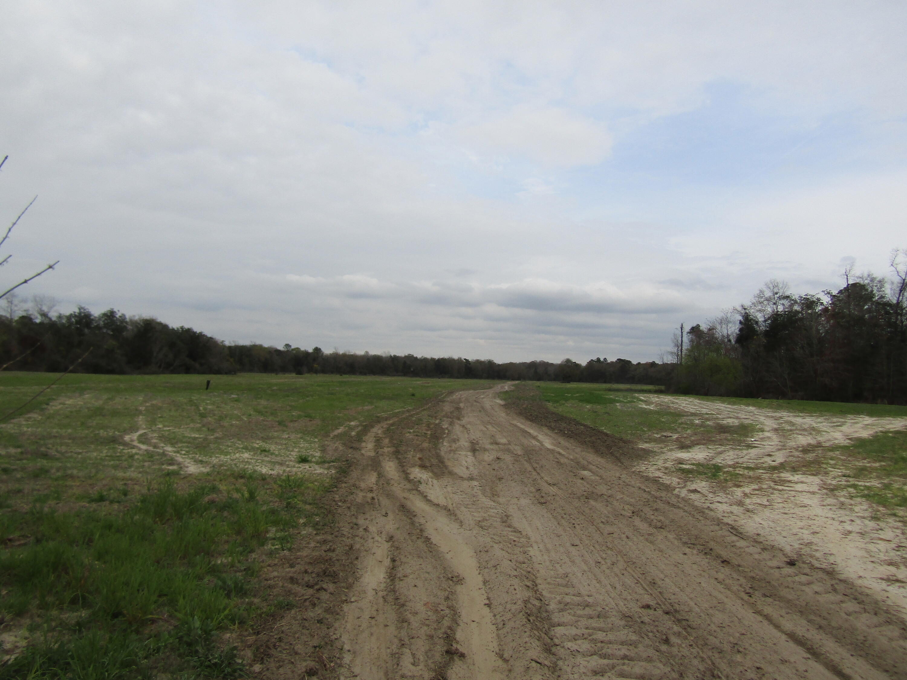 2948 Alford Road Samson, AL 36477 - Photo 88 of 121 IMG_1792