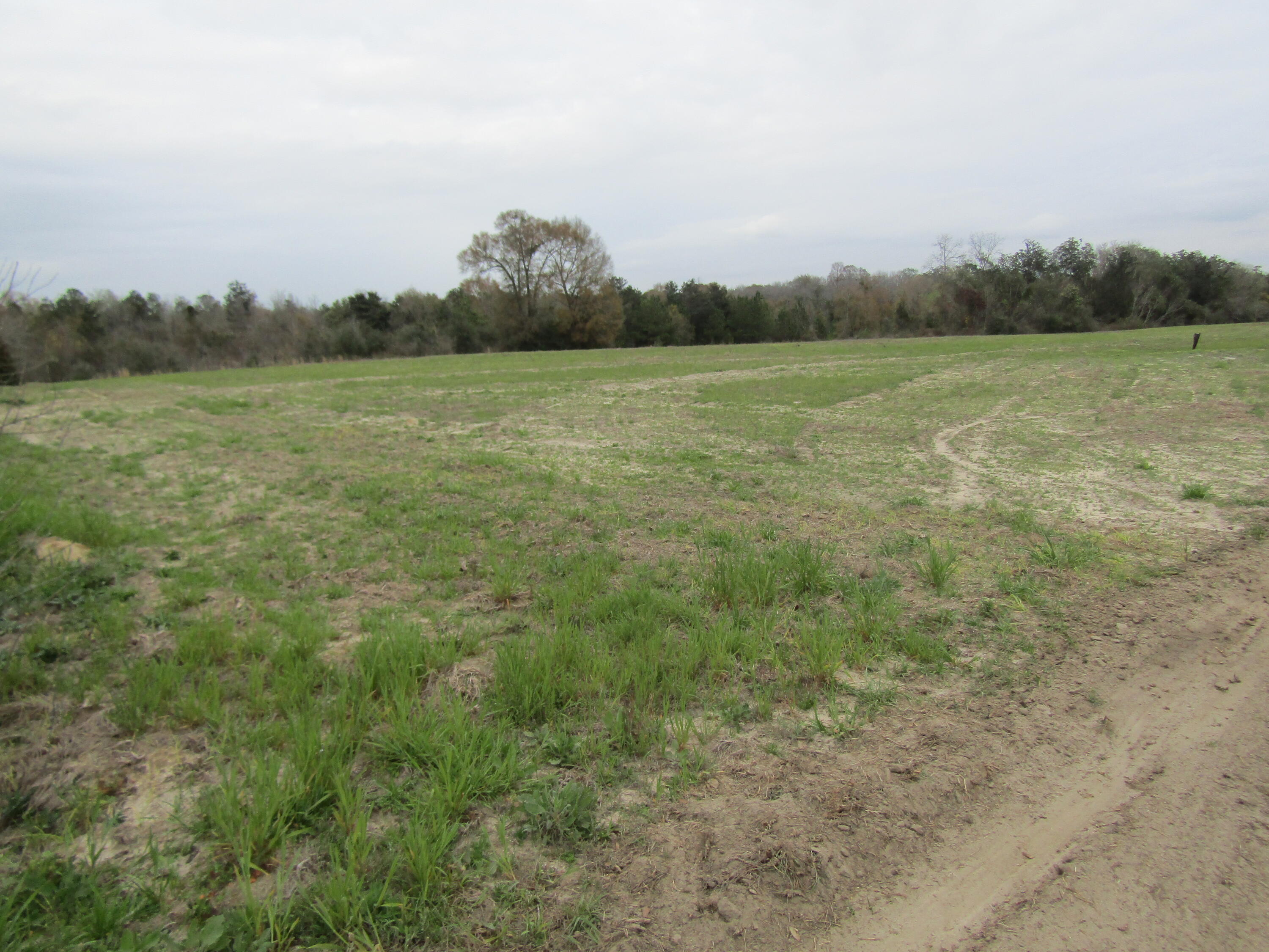 2948 Alford Road Samson, AL 36477 - Photo 89 of 121 a view of a field with an ocean and trees