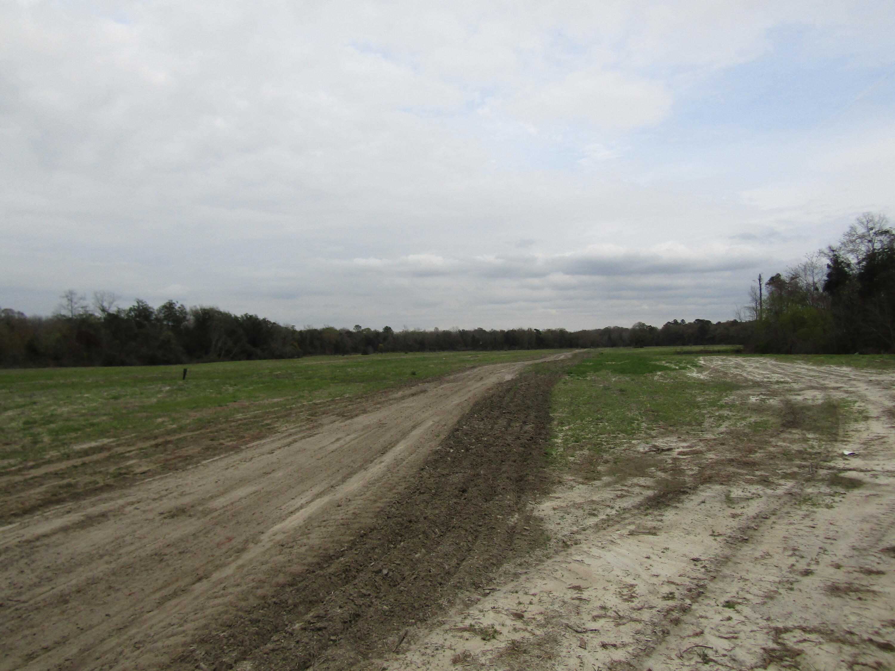 2948 Alford Road Samson, AL 36477 - Photo 90 of 121 a view of a lake with a city