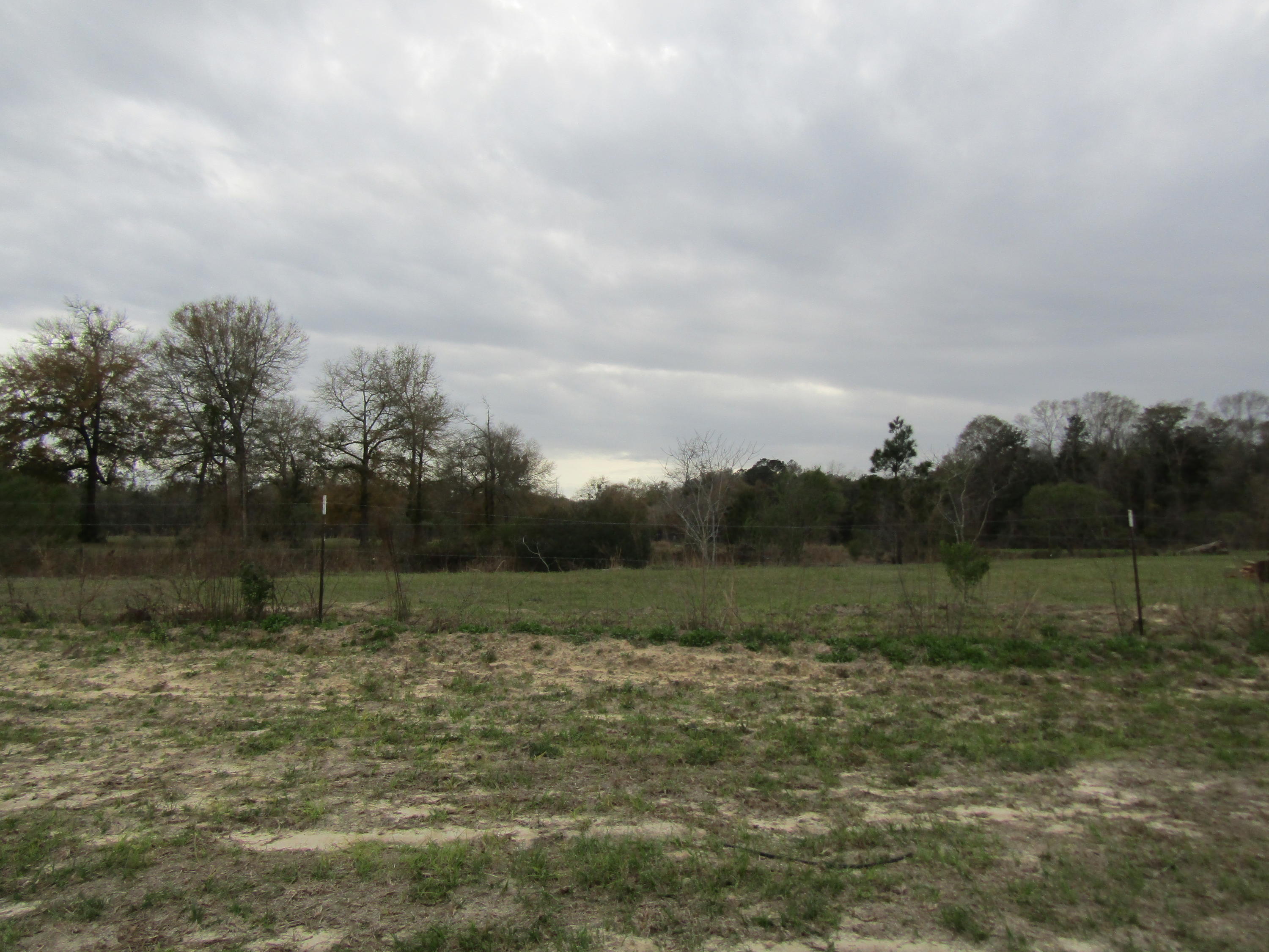 2948 Alford Road Samson, AL 36477 - Photo 91 of 121 IMG_1795