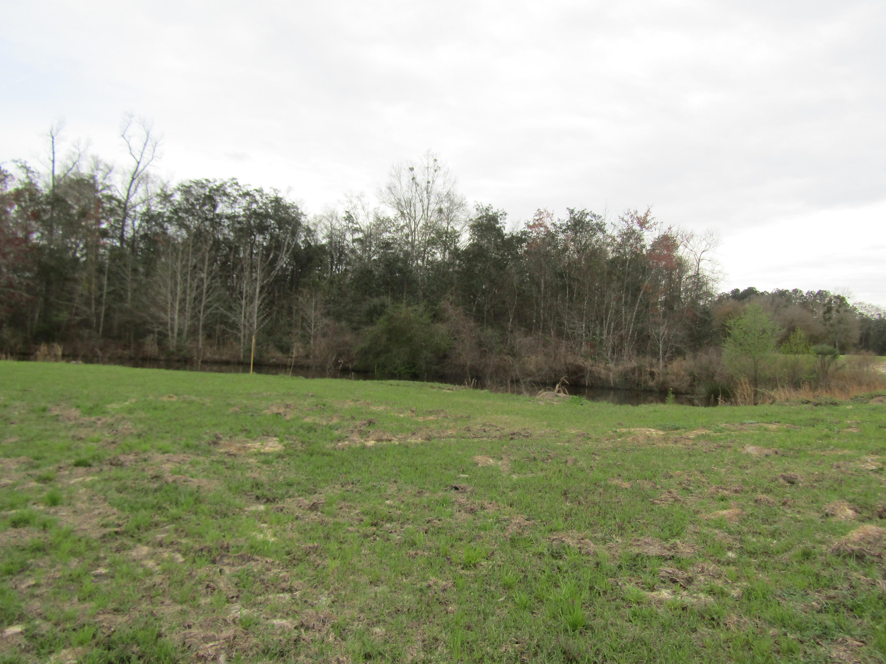 2948 Alford Road Samson, AL 36477 - Photo 92 of 121 a view of a field with trees in the background