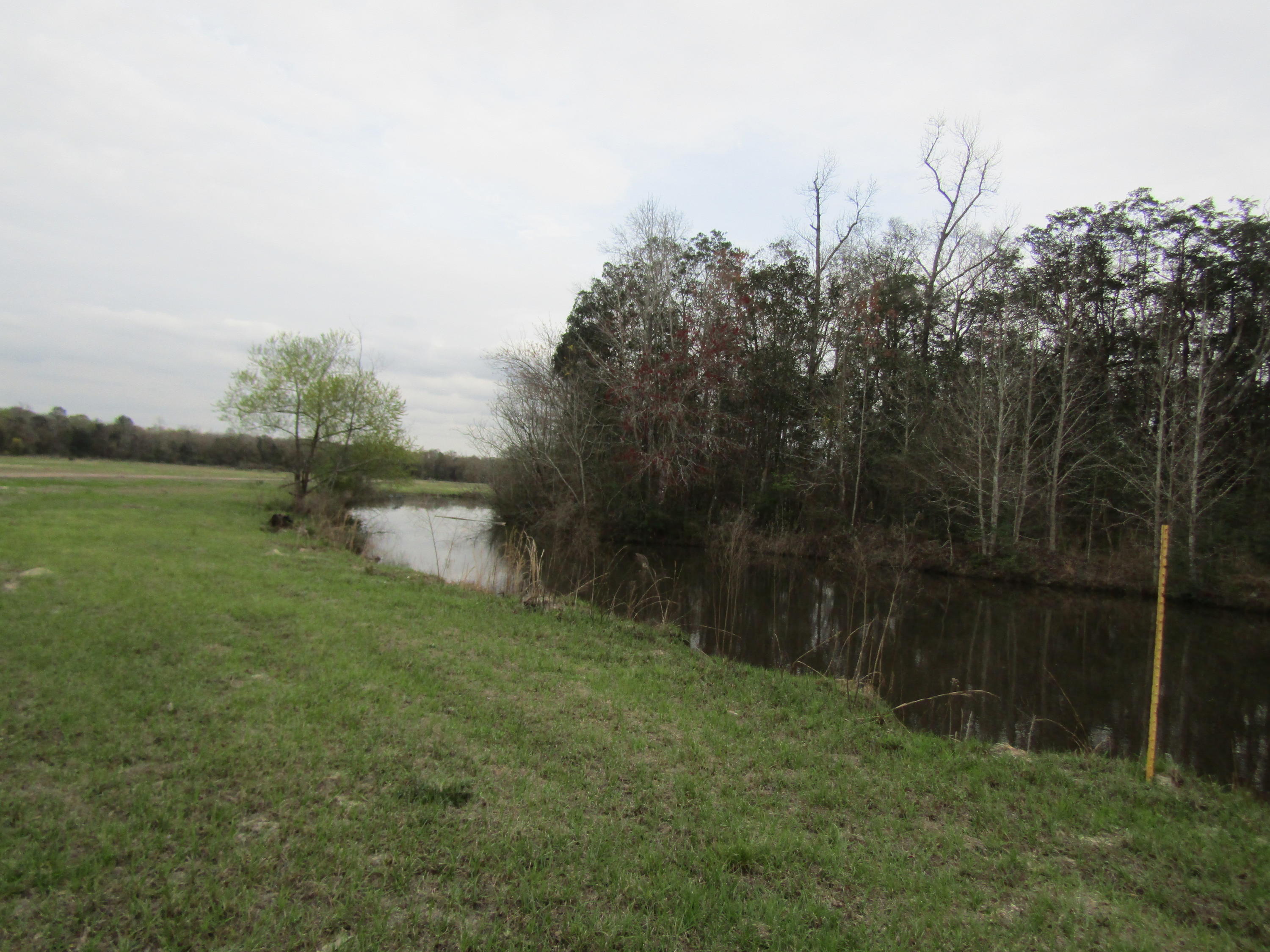 2948 Alford Road Samson, AL 36477 - Photo 93 of 121 a backyard of a house with lots of green space and lake view in back