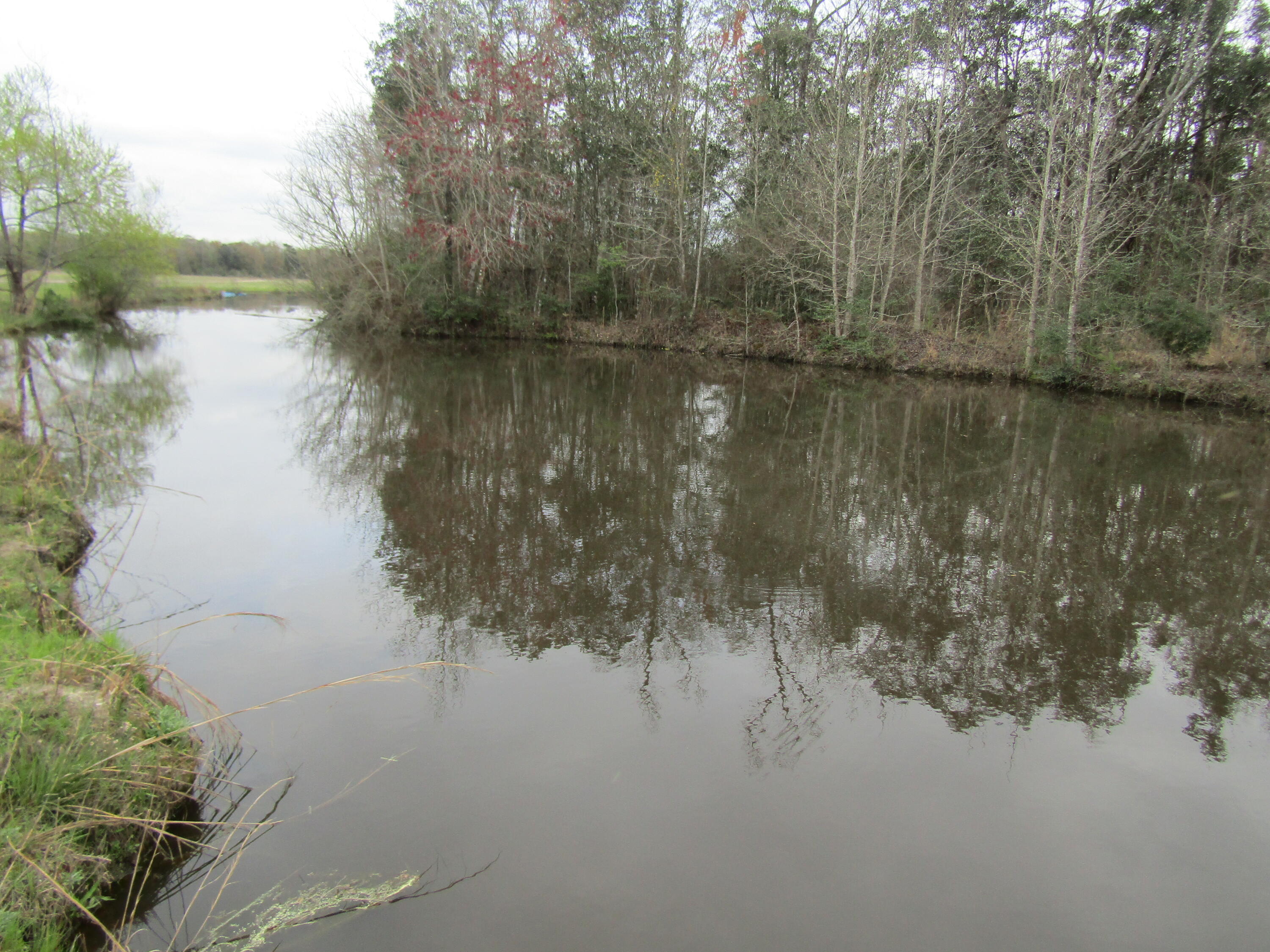 2948 Alford Road Samson, AL 36477 - Photo 95 of 121 IMG_1799