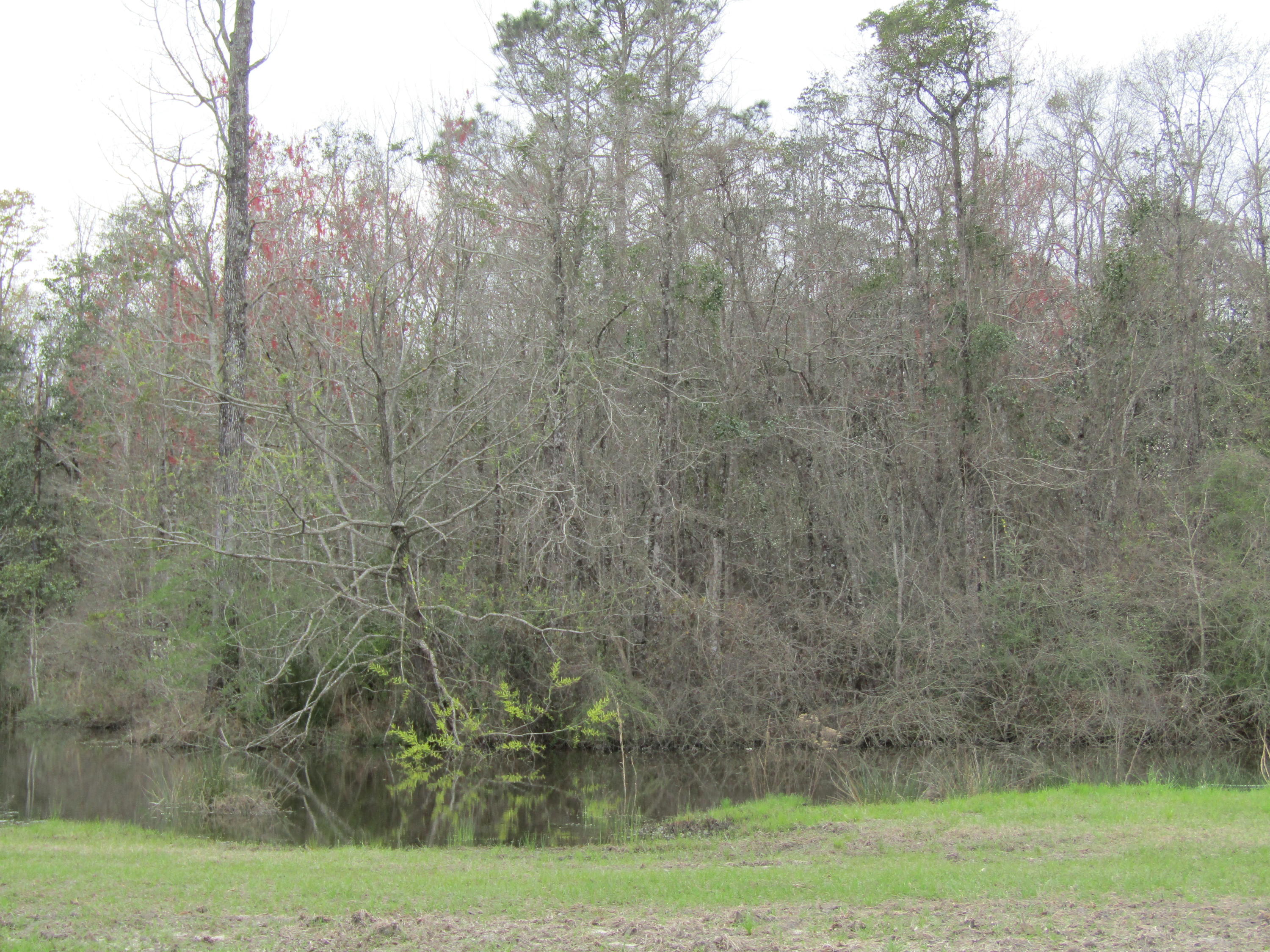 2948 Alford Road Samson, AL 36477 - Photo 100 of 121 IMG_1804