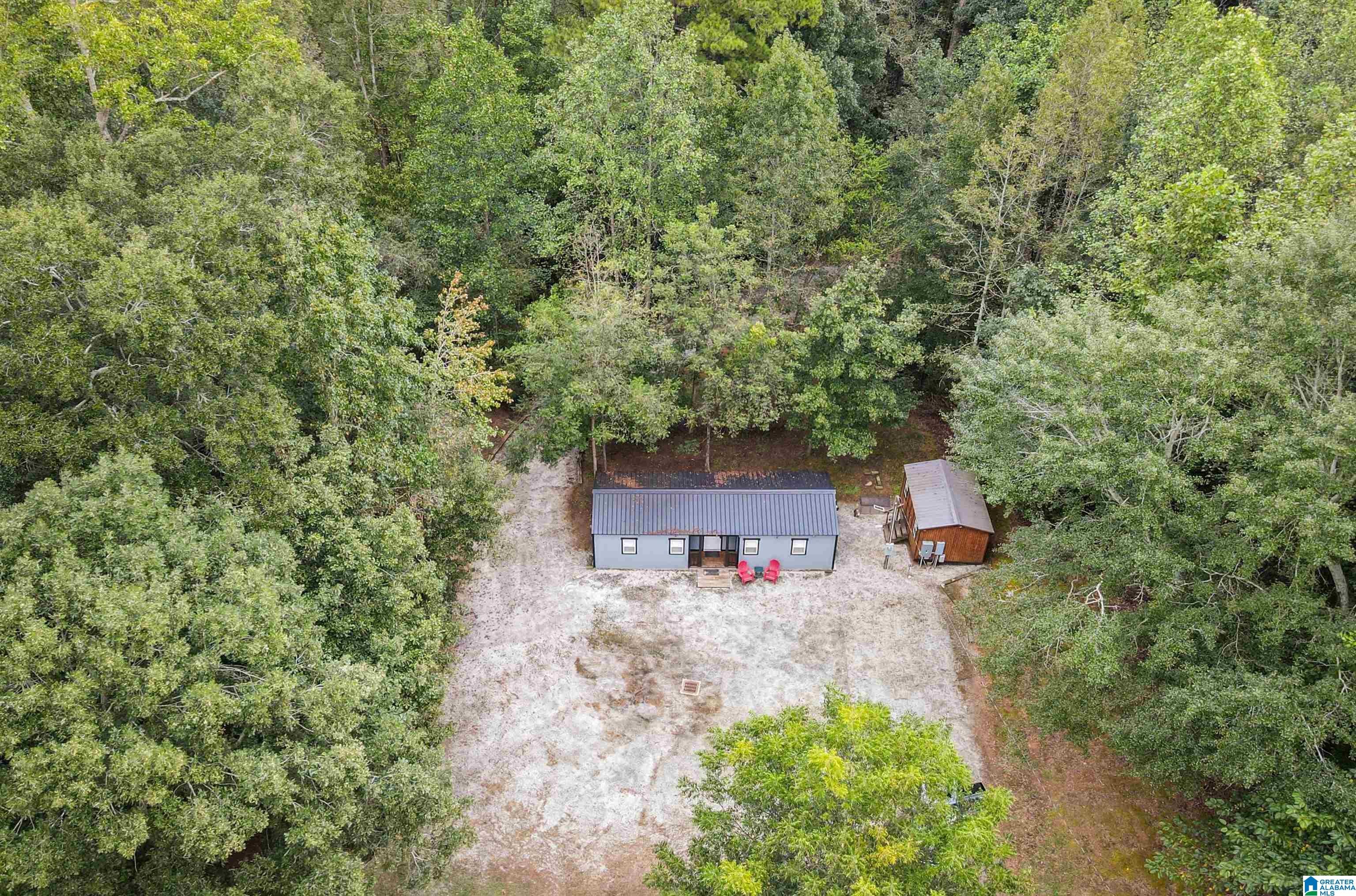 2371 Mt Moriah Road Delta, AL 36258 - Photo 3 of 28 Gallery Image 3