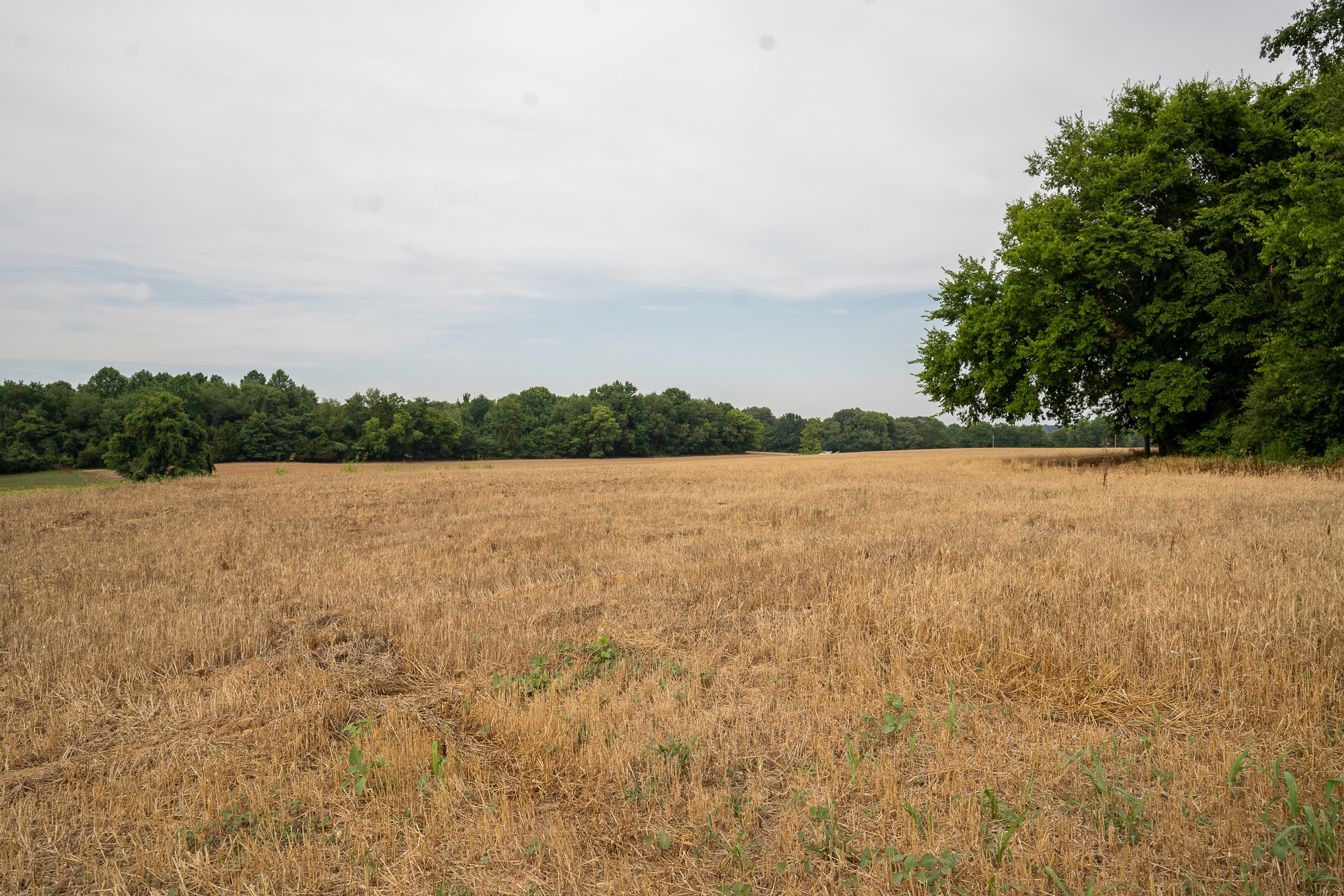 1 Atkins Road Cedar Hill, TN 37032 - Photo 3 of 6 a view of a lake view