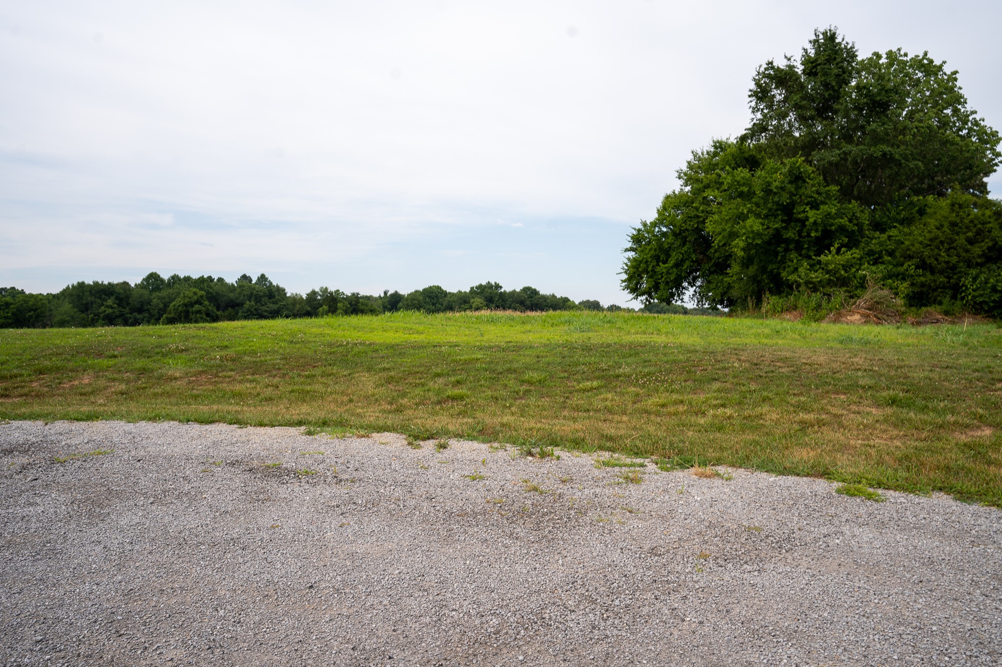 1 Atkins Road Cedar Hill, TN 37032 - Photo 4 of 6 a view of an ocean and beach