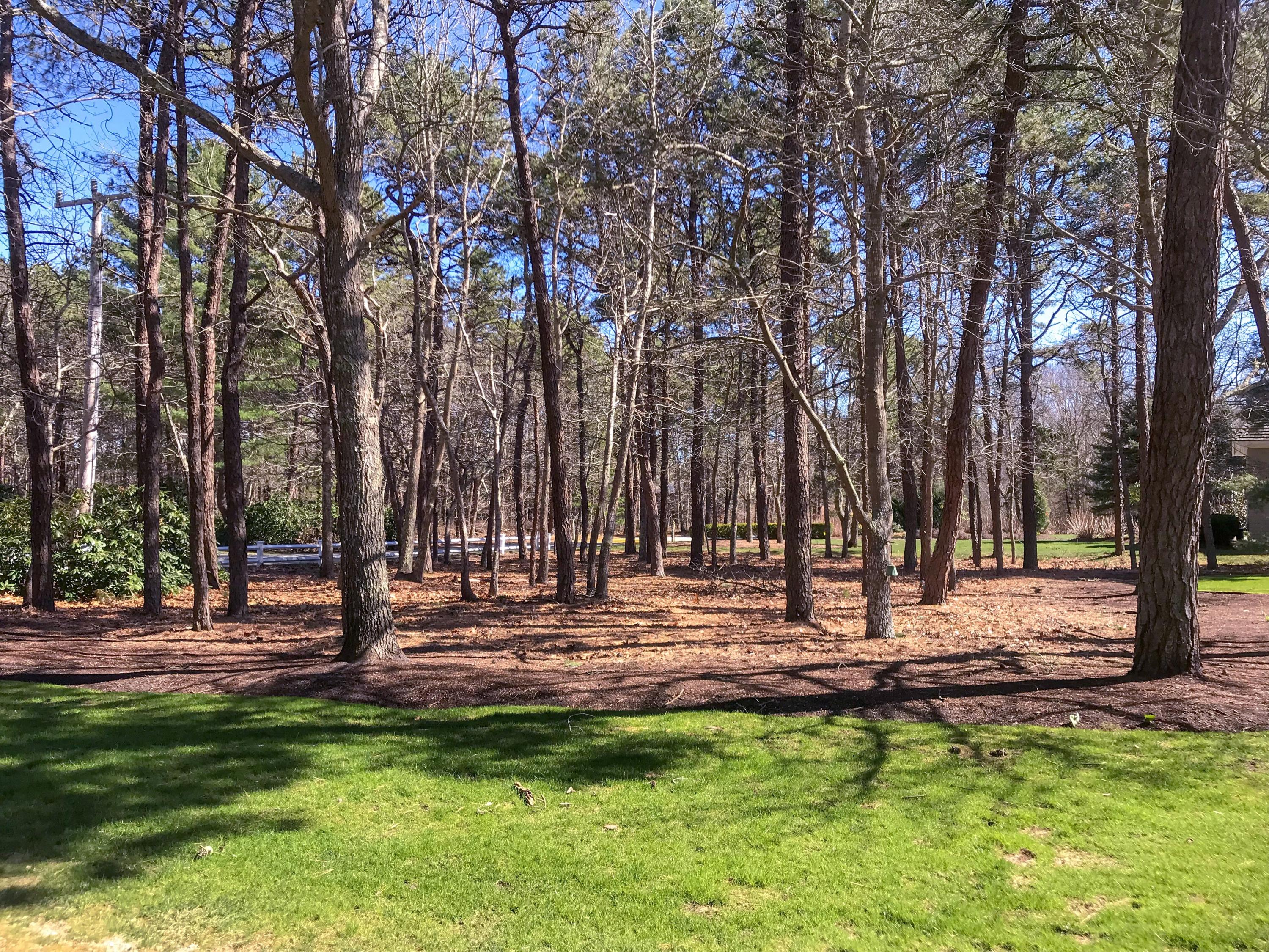 163 Pineleigh Path Osterville, MA 02655 - Photo 22 of 23 a view of a park with tree s