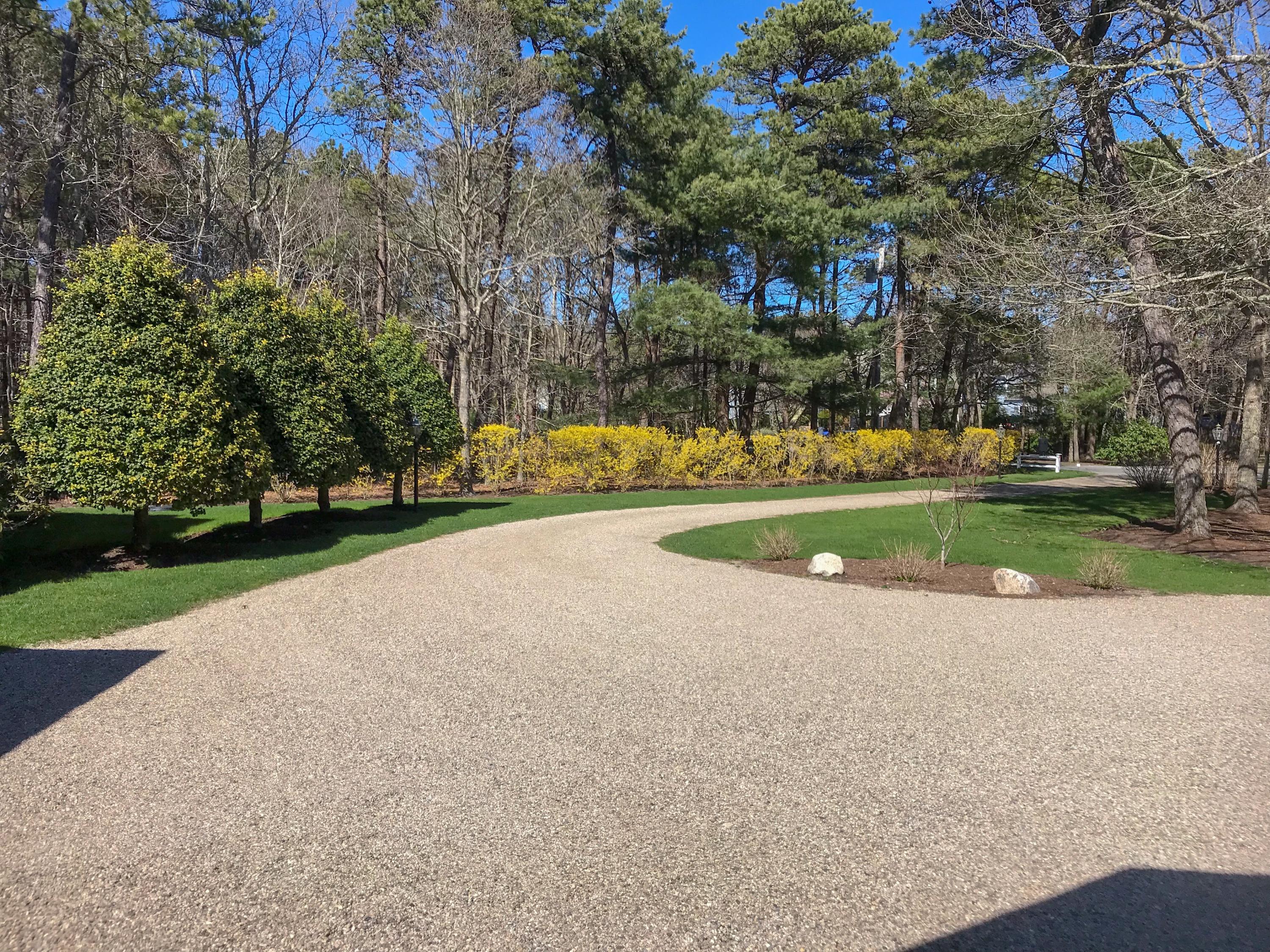 163 Pineleigh Path Osterville, MA 02655 - Photo 23 of 23 a view of a park with large trees