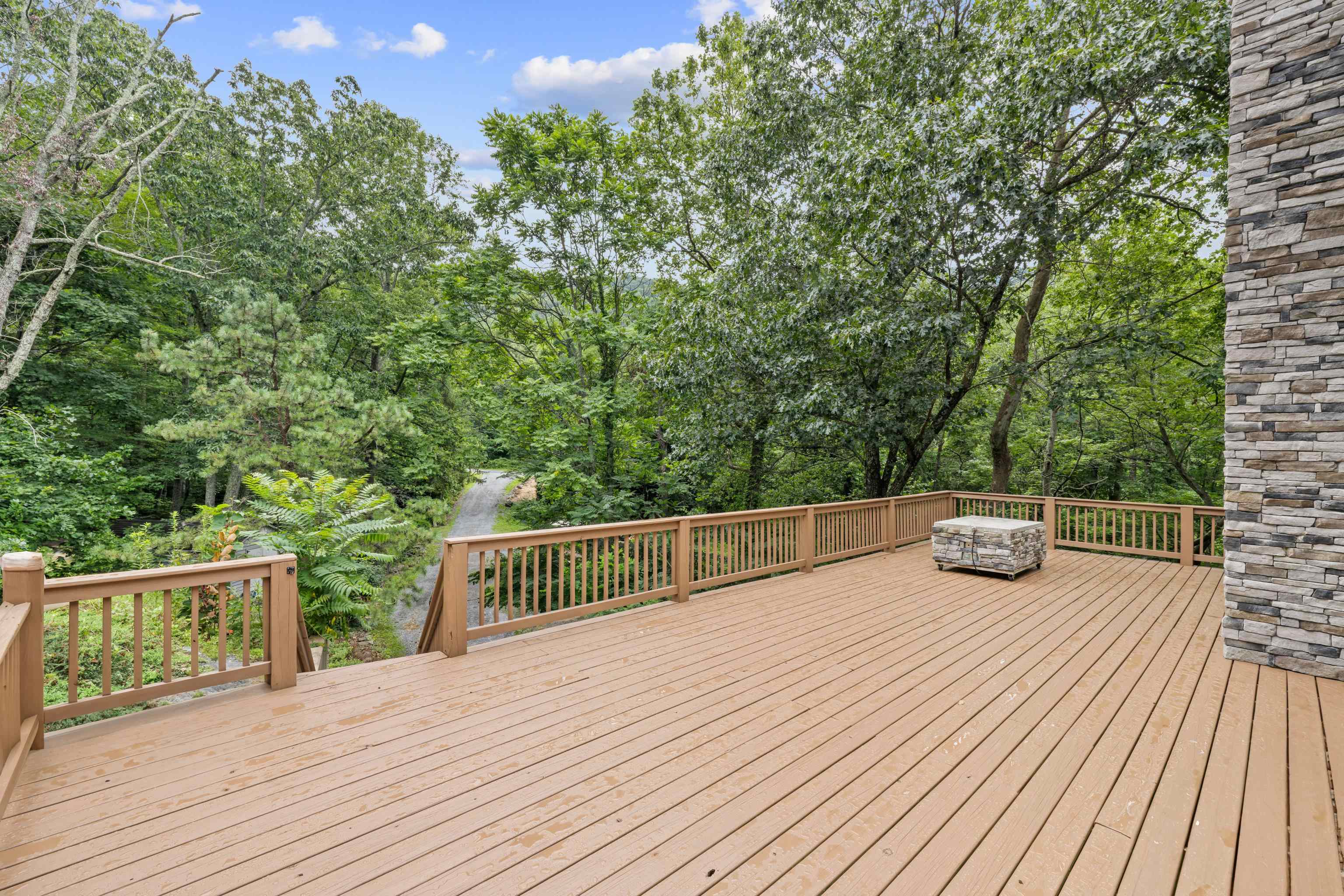 40 Bear Den Road Waynesboro, VA 22980 - Photo 3 of 57 Gallery Image 3