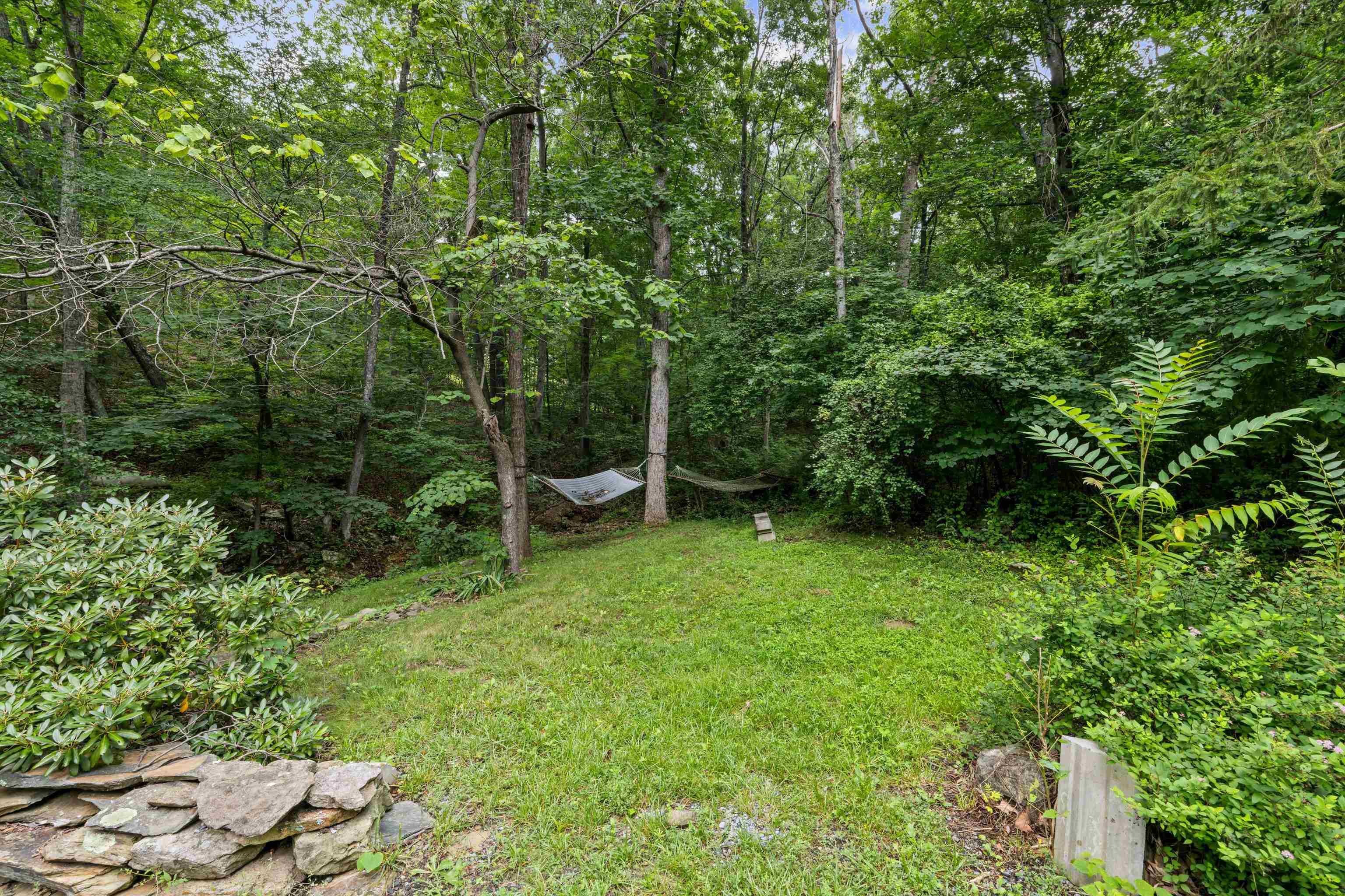 40 Bear Den Road Waynesboro, VA 22980 - Photo 38 of 57 Gallery Image 38