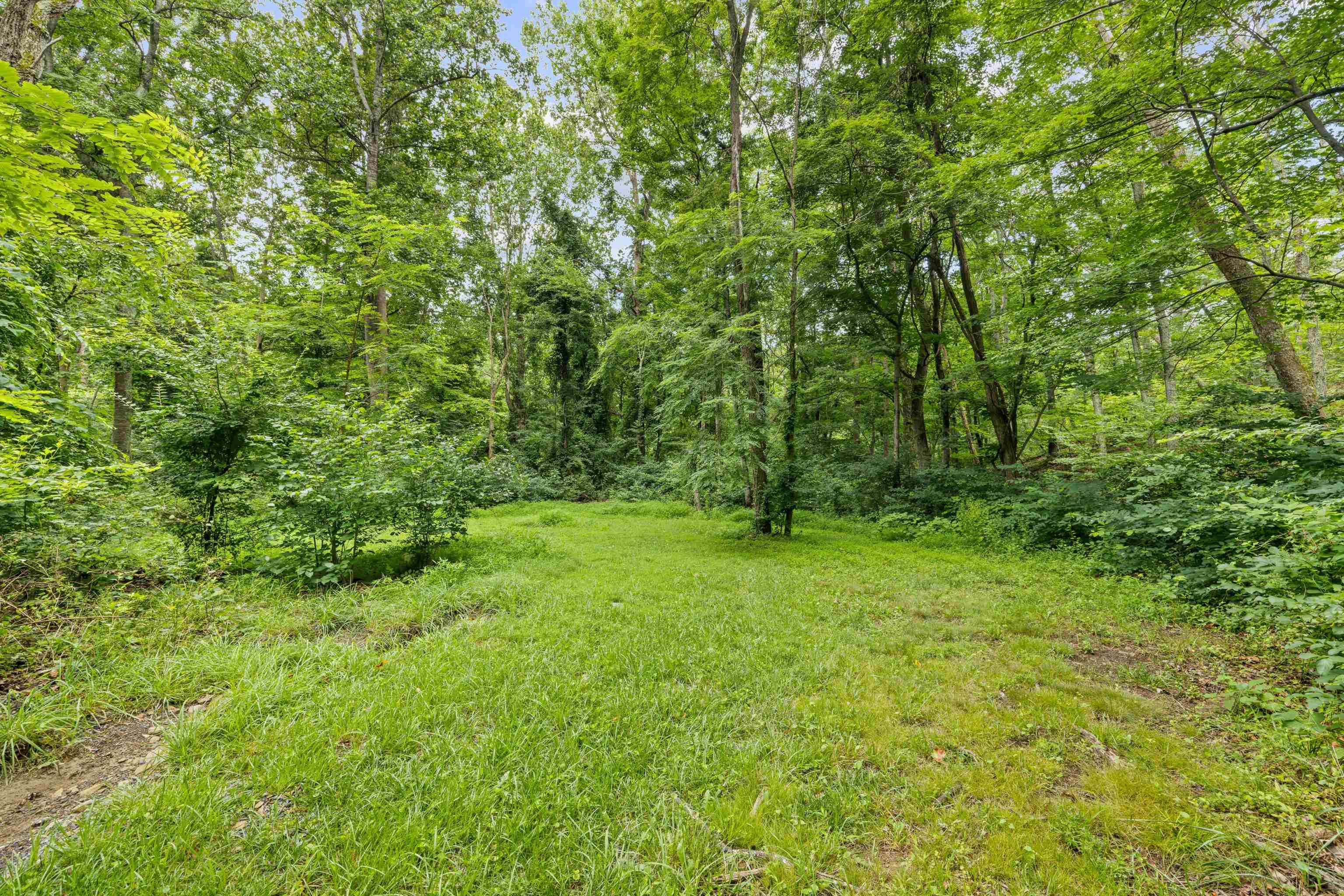 40 Bear Den Road Waynesboro, VA 22980 - Photo 45 of 57 Gallery Image 45