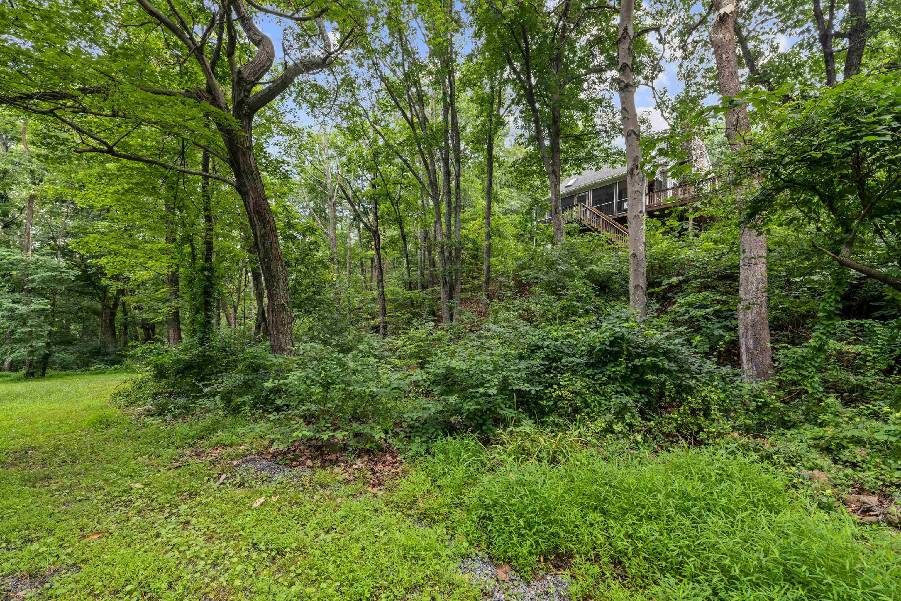 40 Bear Den Road Waynesboro, VA 22980 - Photo 50 of 57 Gallery Image 50