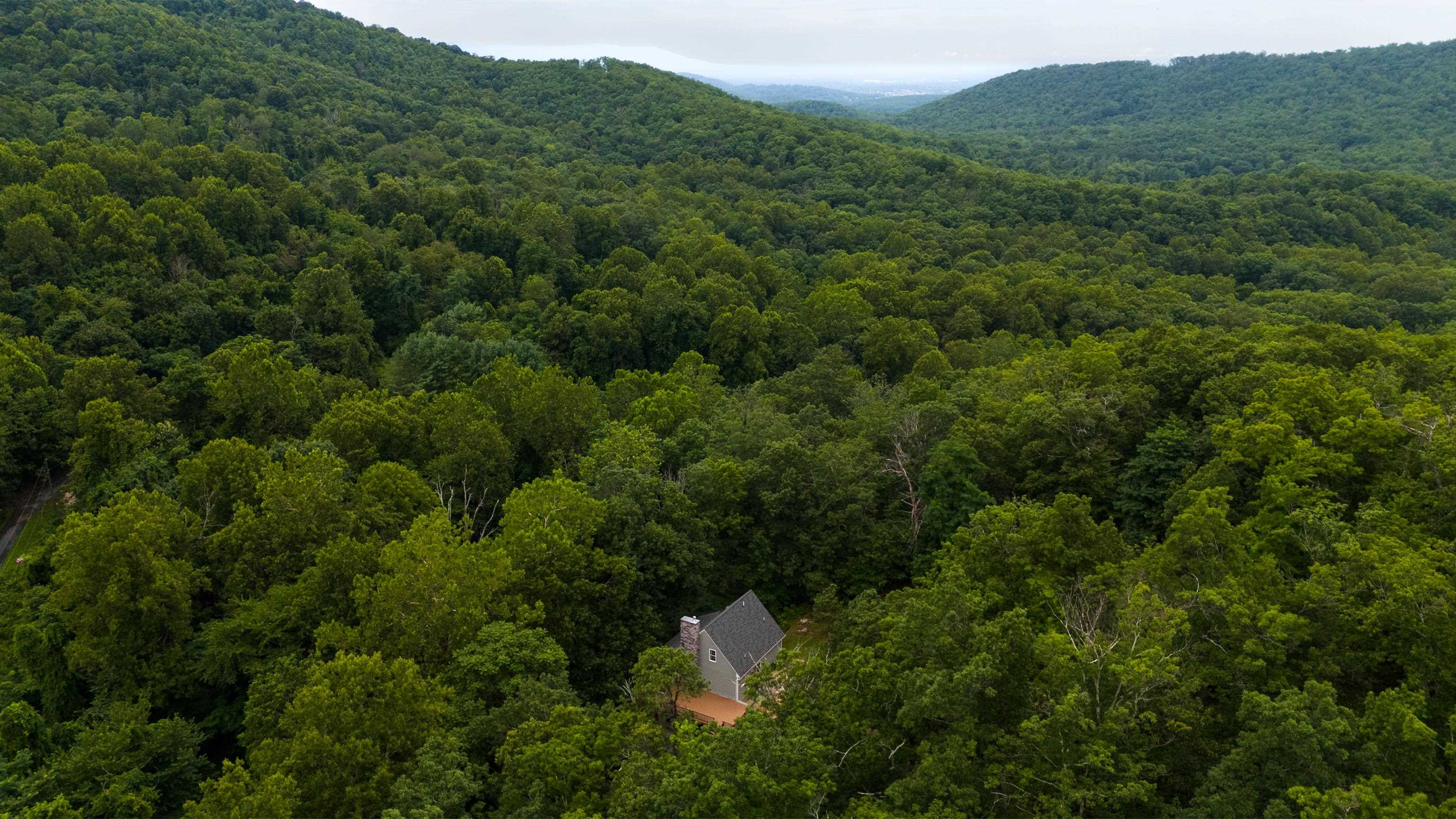 40 Bear Den Road Waynesboro, VA 22980 - Photo 55 of 57 Gallery Image 55