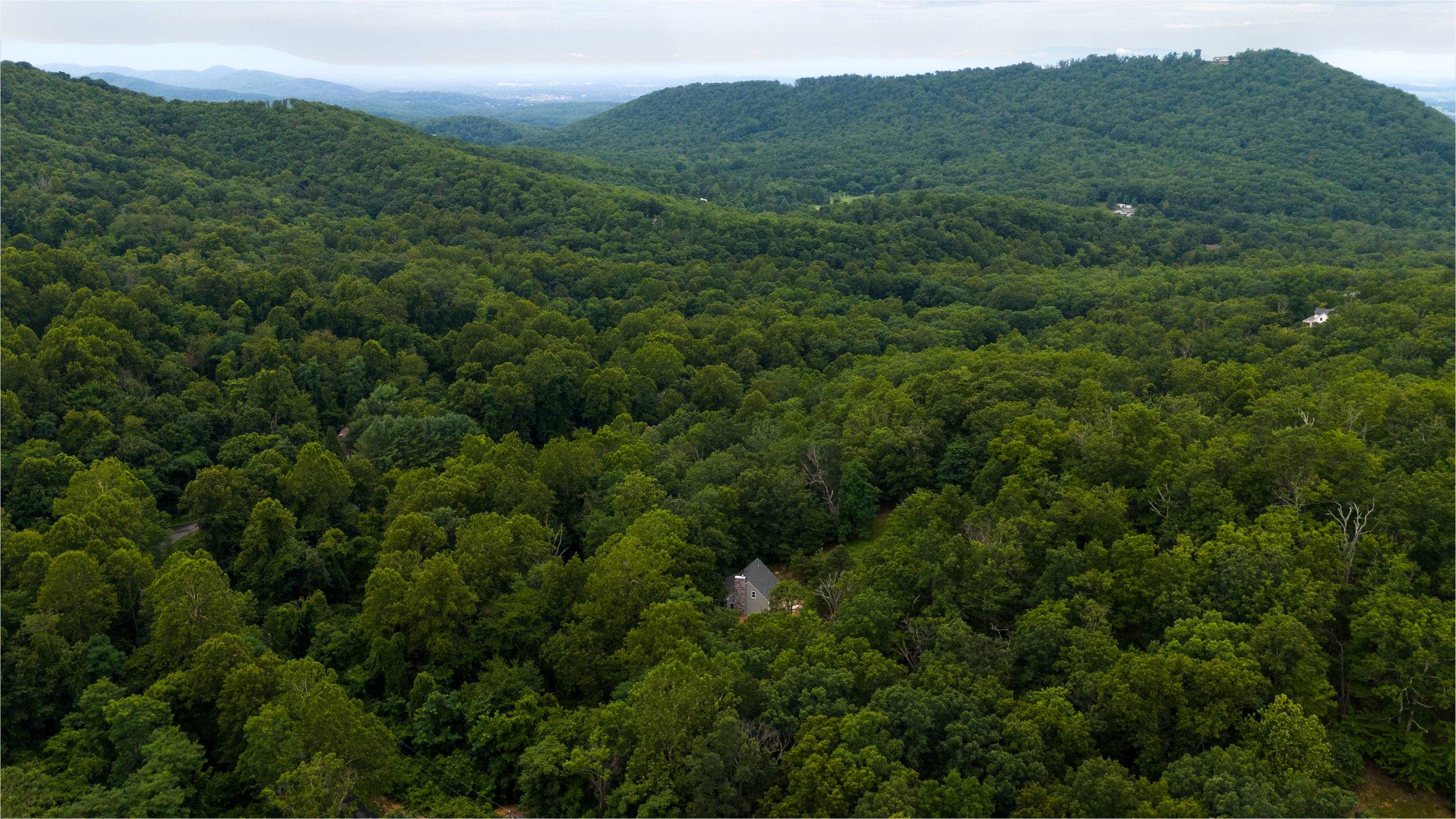 40 Bear Den Road Waynesboro, VA 22980 - Photo 57 of 57 Gallery Image 57