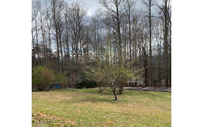 1423 Long Ridge Road Hiawassee, GA 30546 - Photo 3 of 11 Additional View