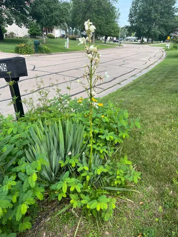 $224,900 | 205 Alpine Drive, Shawano, WI 54166