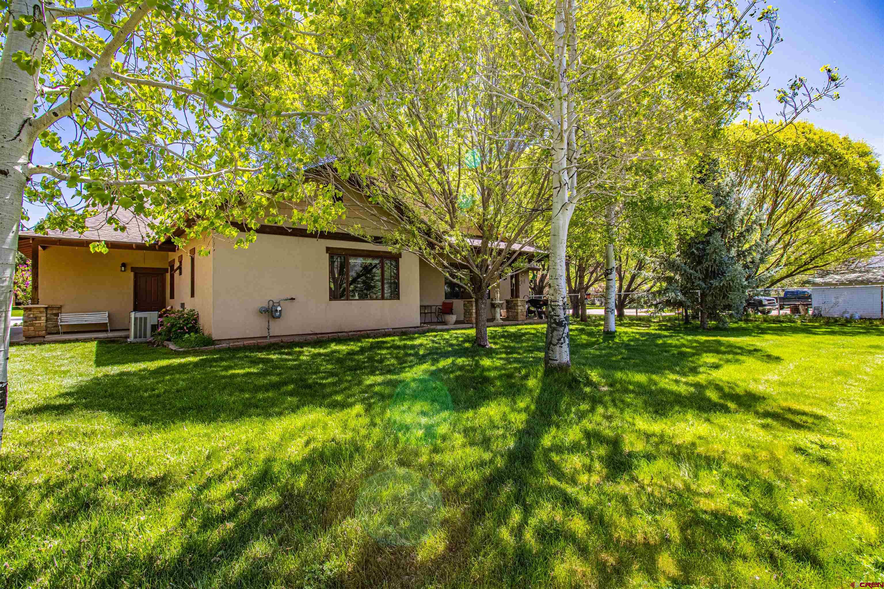 1167 North Dalton Ranch Road Durango, CO 81301 - Photo 39 of 45 a backyard of a house with plants and large tree