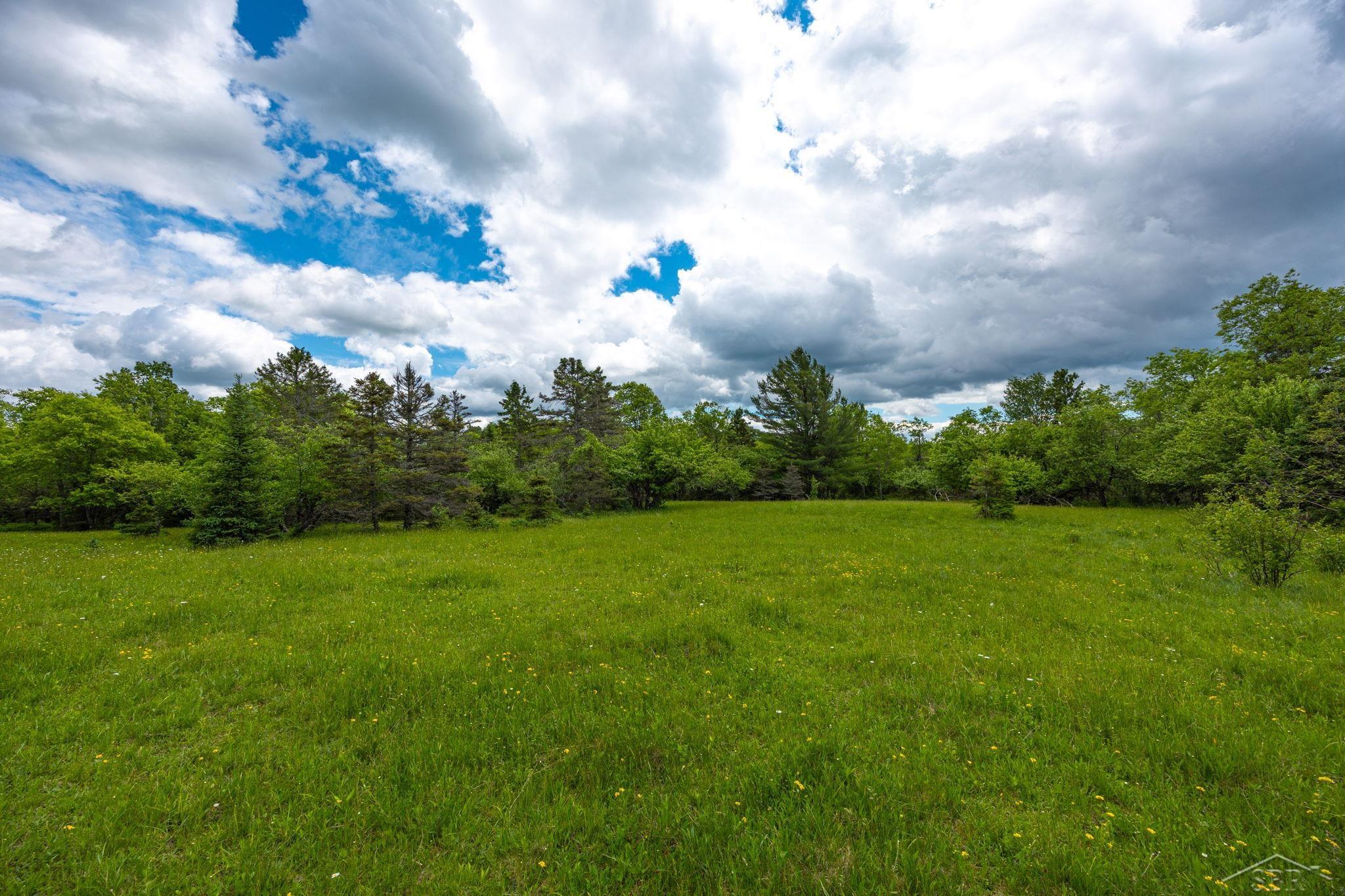 25615 Leo S Road Watton, MI 49970 - Photo 48 of 72