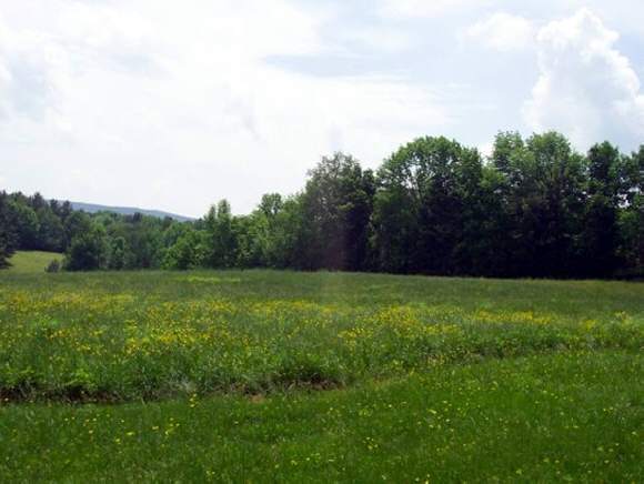 Tarbellville Road Mount Holly, VT 05730 - Photo 1 of 1