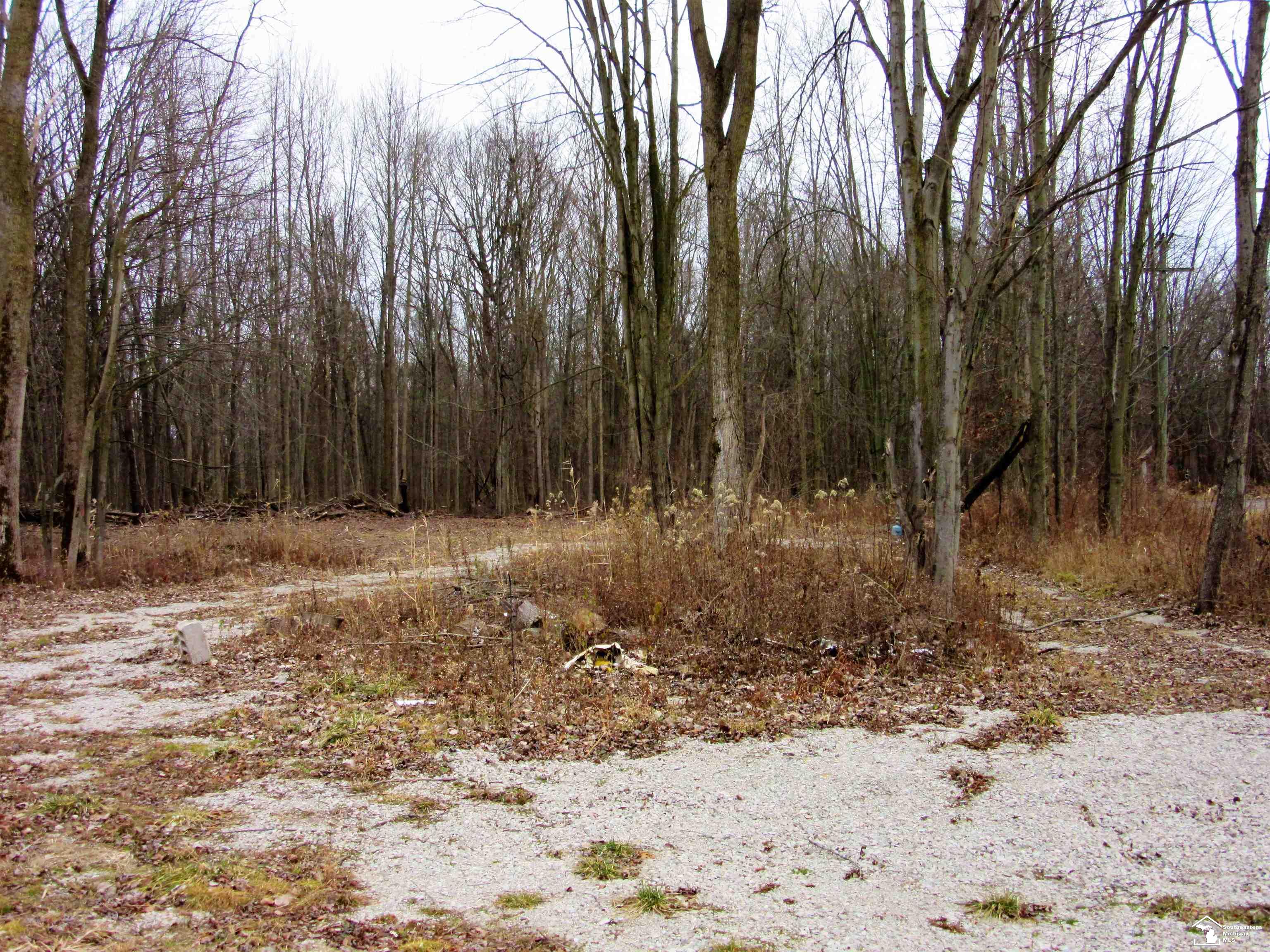 1 Grames Road Milan, MI 48160 - Photo 5 of 8