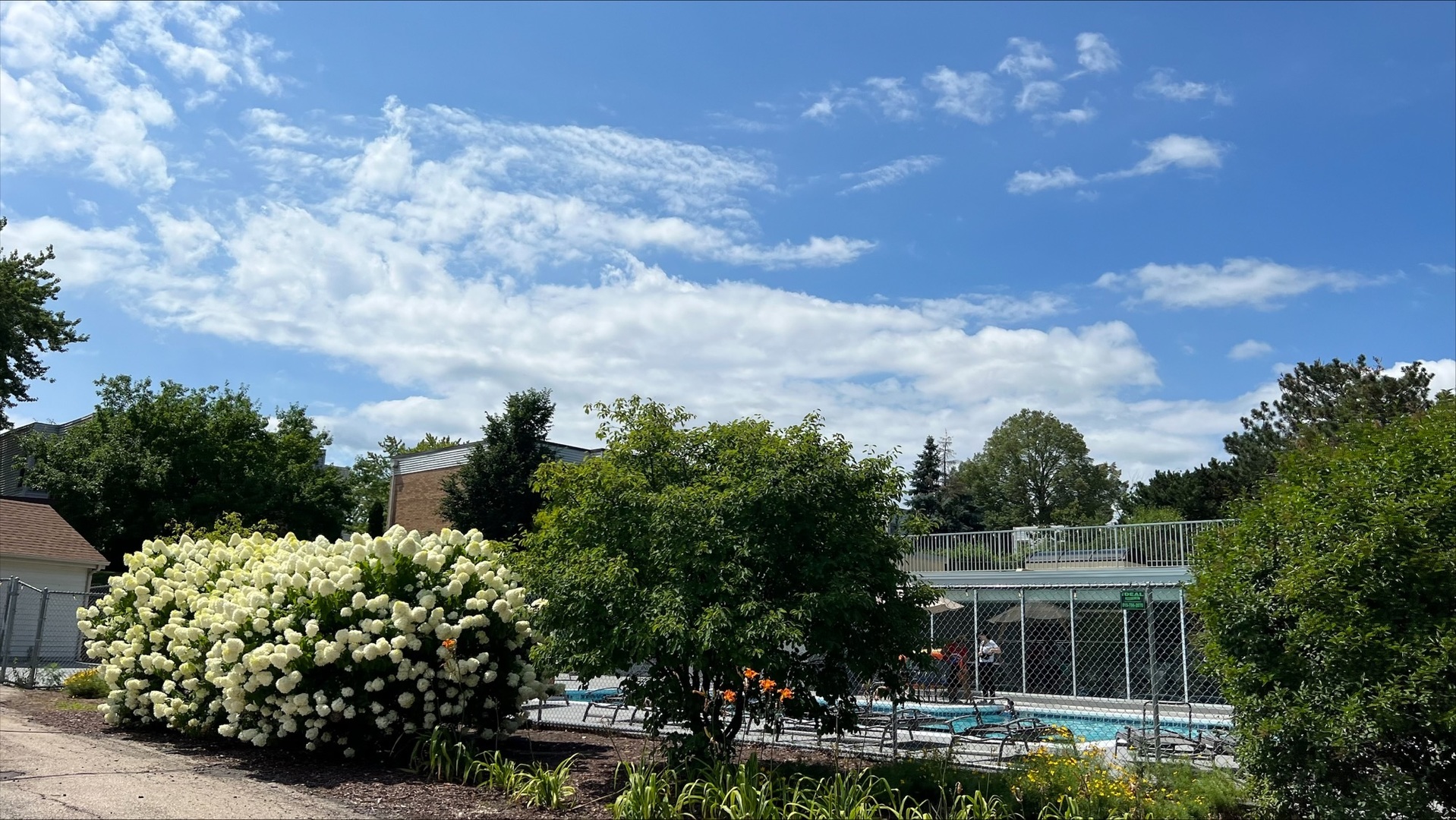 1009 Spring Mill Drive Hoffman Estates, IL 60169 - Photo 21 of 35 a view of a garden with a house