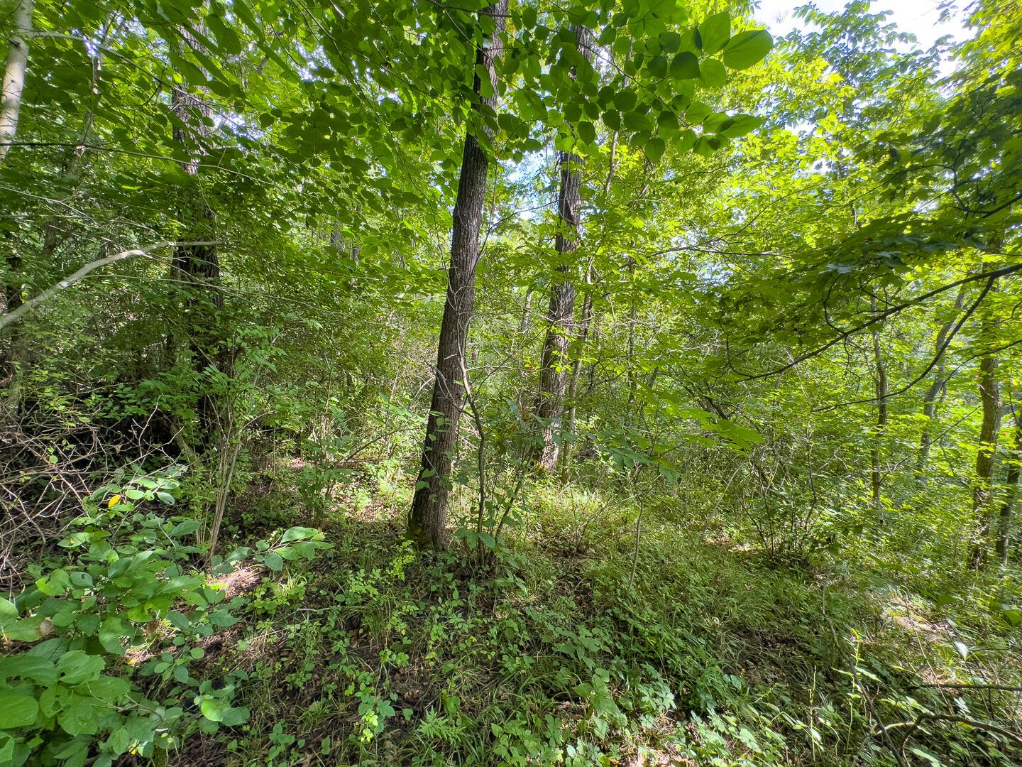 0 East Sand Ridge Road, Unit 338 Albany, OH 45710 - Photo 20 of 30 20-0 Sand Ridge Rd Ground-14