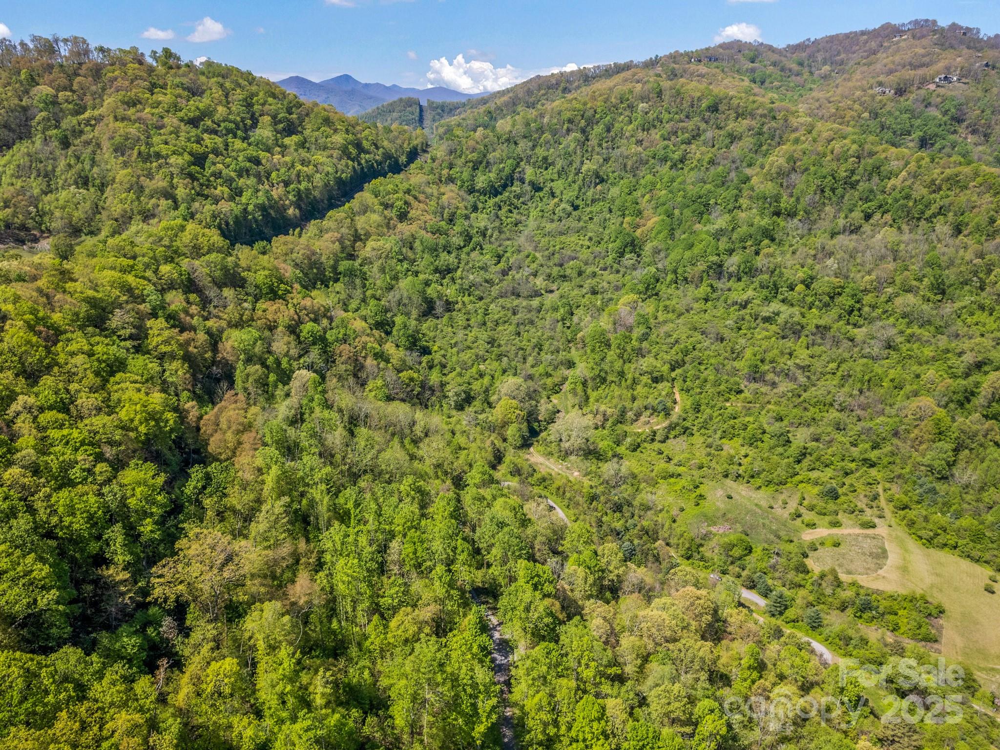 0 Shetley Road Waynesville, NC 28785 - Photo 13 of 34