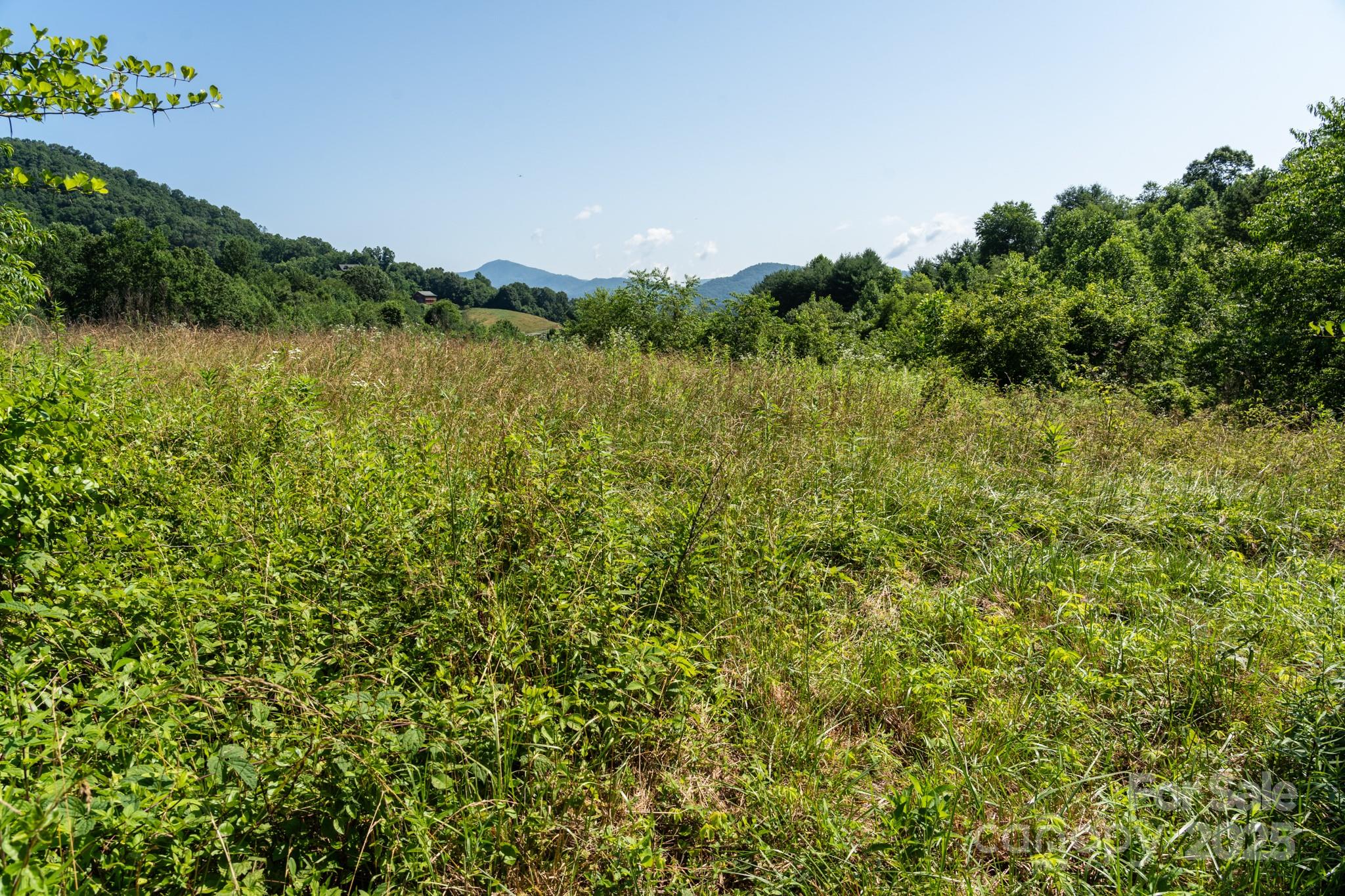 0 Shetley Road Waynesville, NC 28785 - Photo 15 of 34
