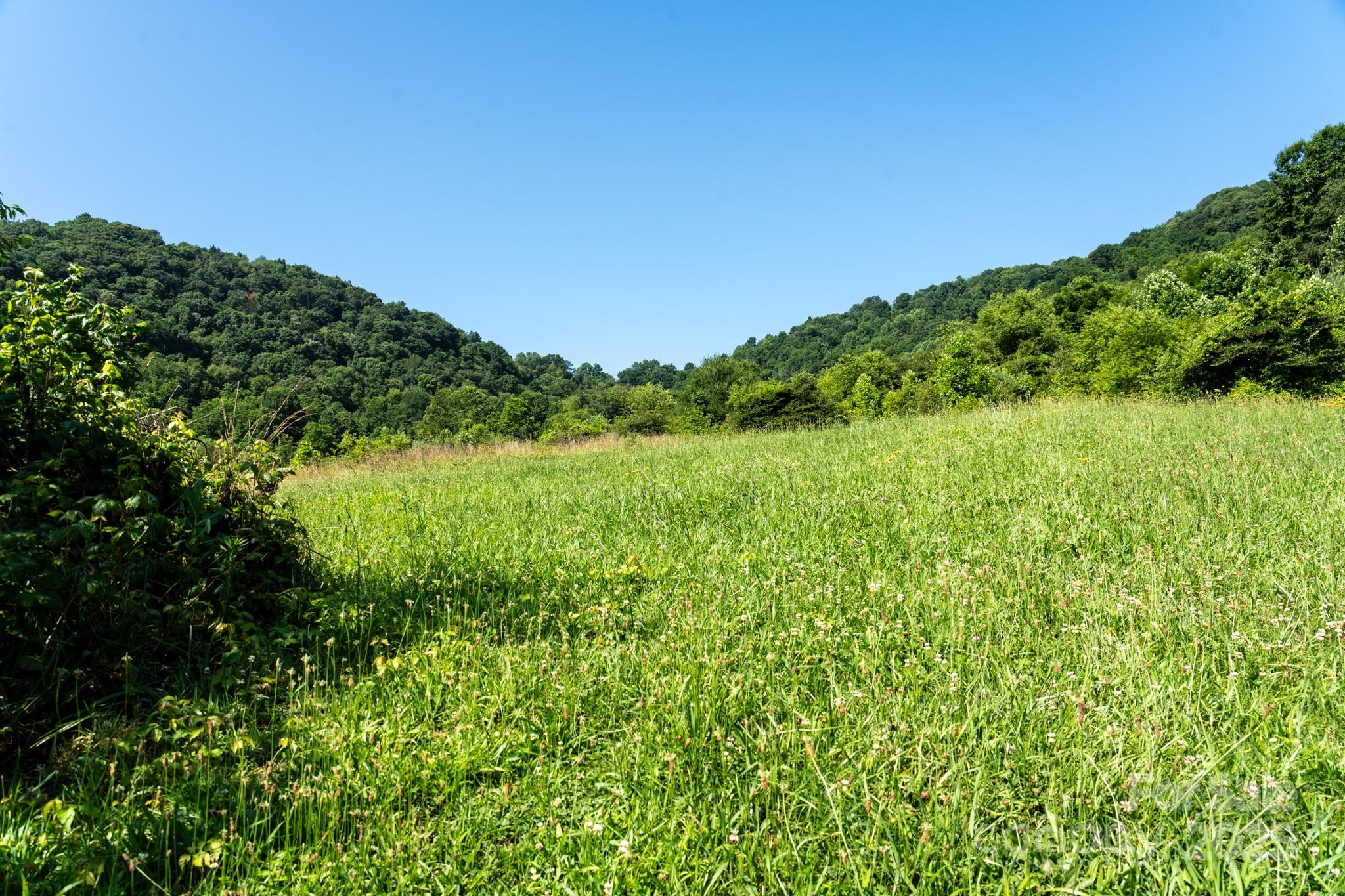 0 Shetley Road Waynesville, NC 28785 - Photo 16 of 34