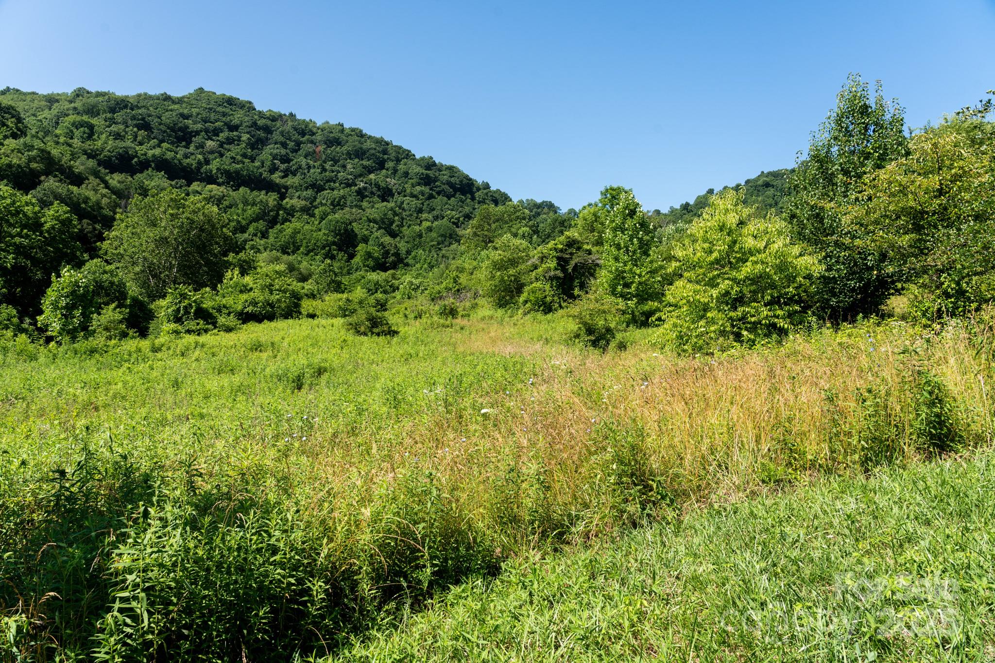 0 Shetley Road Waynesville, NC 28785 - Photo 17 of 34