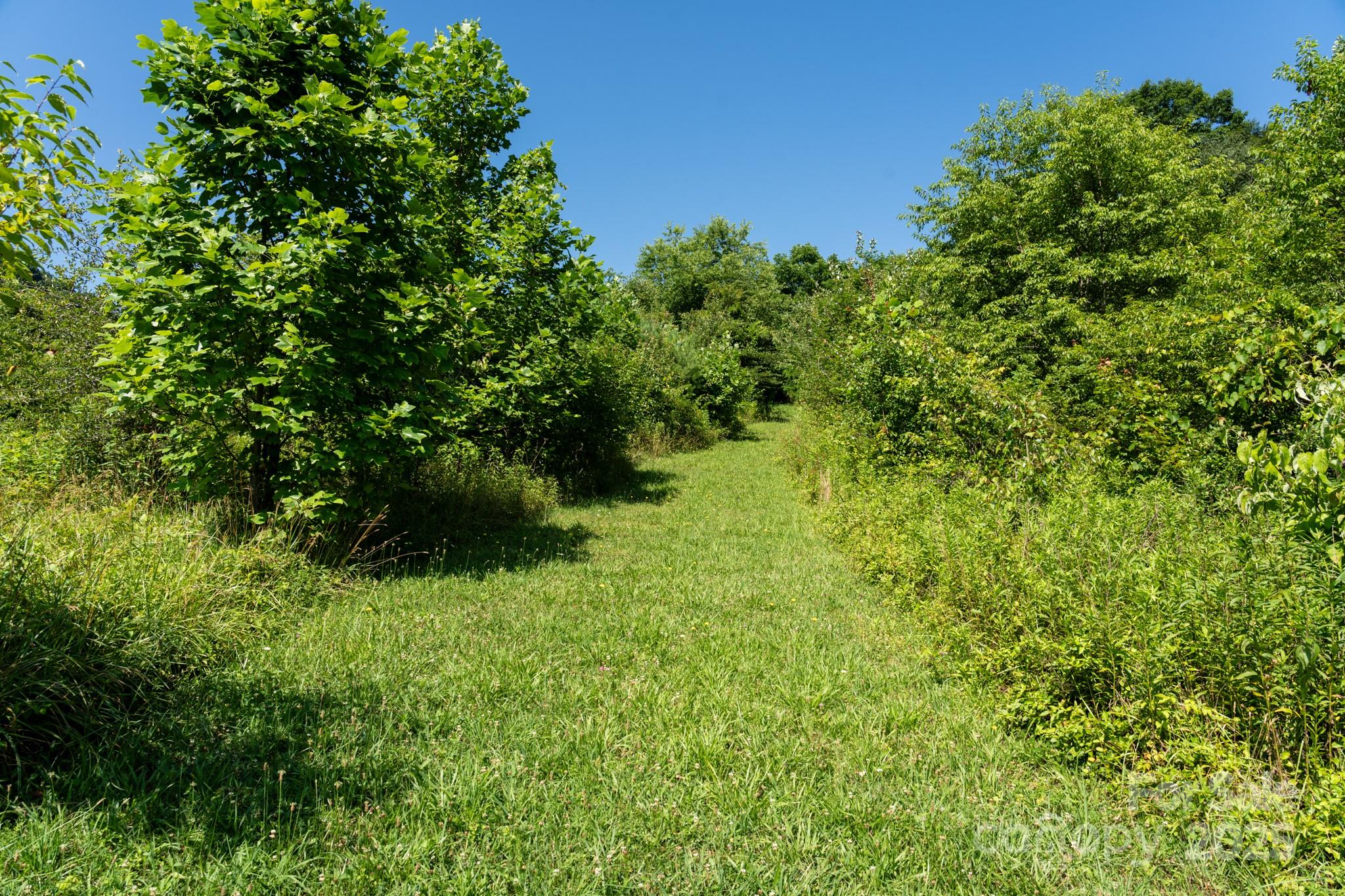 0 Shetley Road Waynesville, NC 28785 - Photo 18 of 34