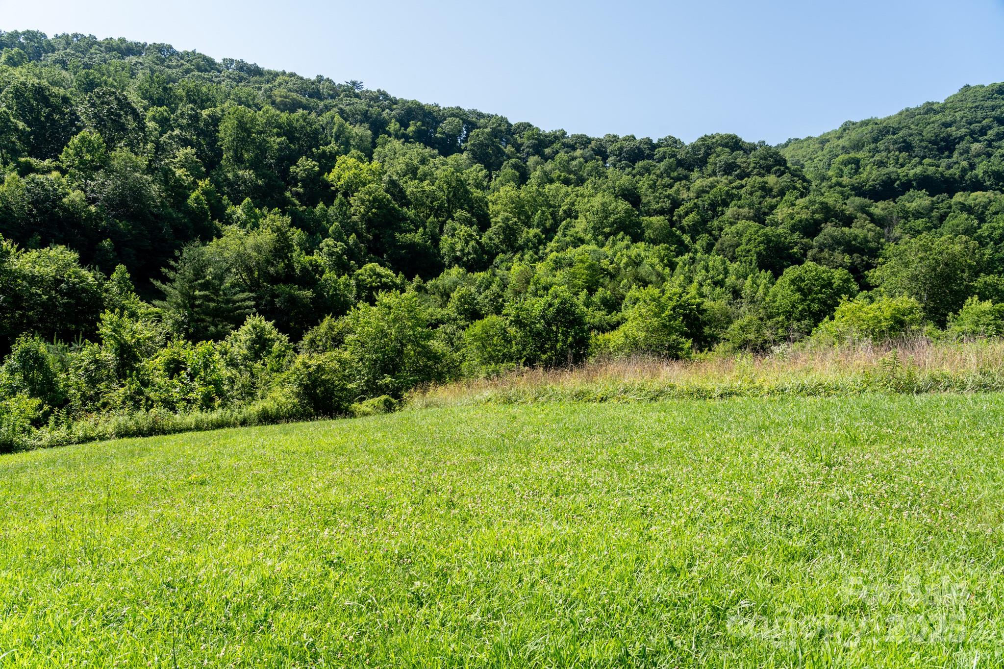 0 Shetley Road Waynesville, NC 28785 - Photo 19 of 34