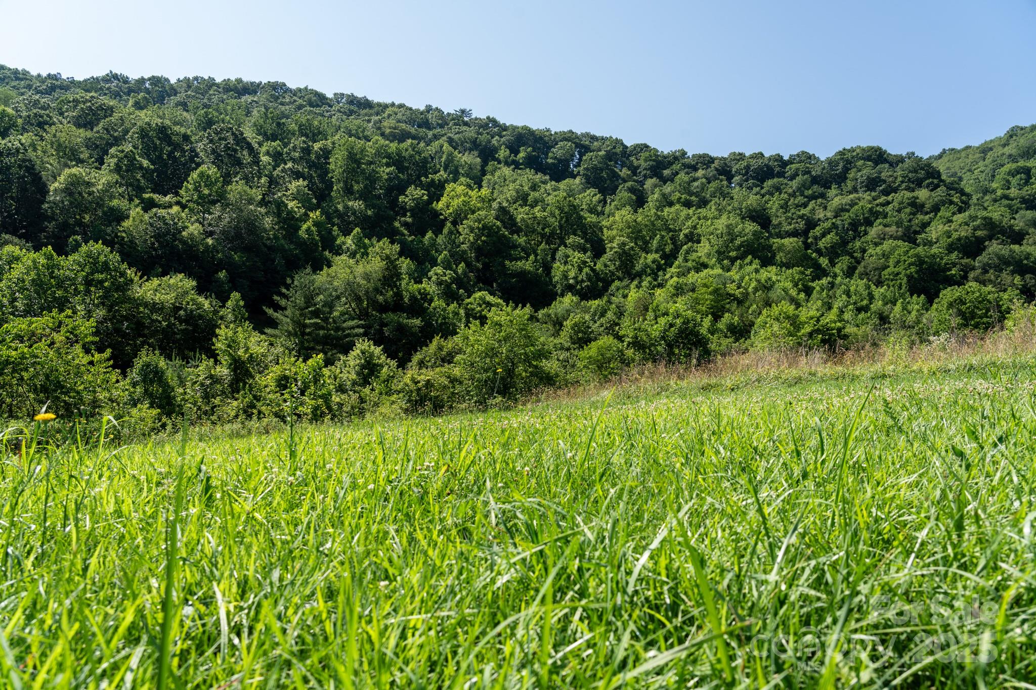 0 Shetley Road Waynesville, NC 28785 - Photo 20 of 34