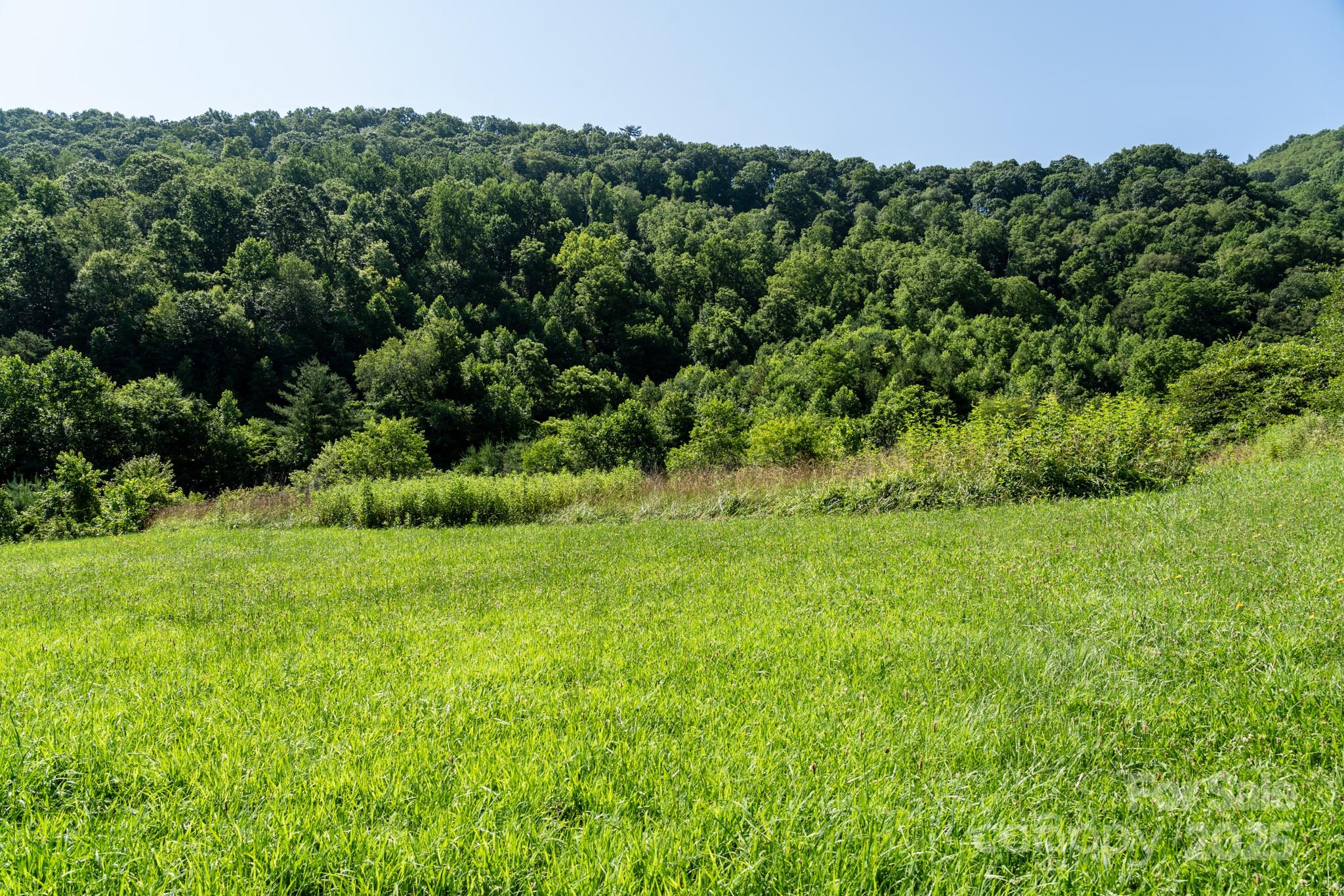 0 Shetley Road Waynesville, NC 28785 - Photo 21 of 34