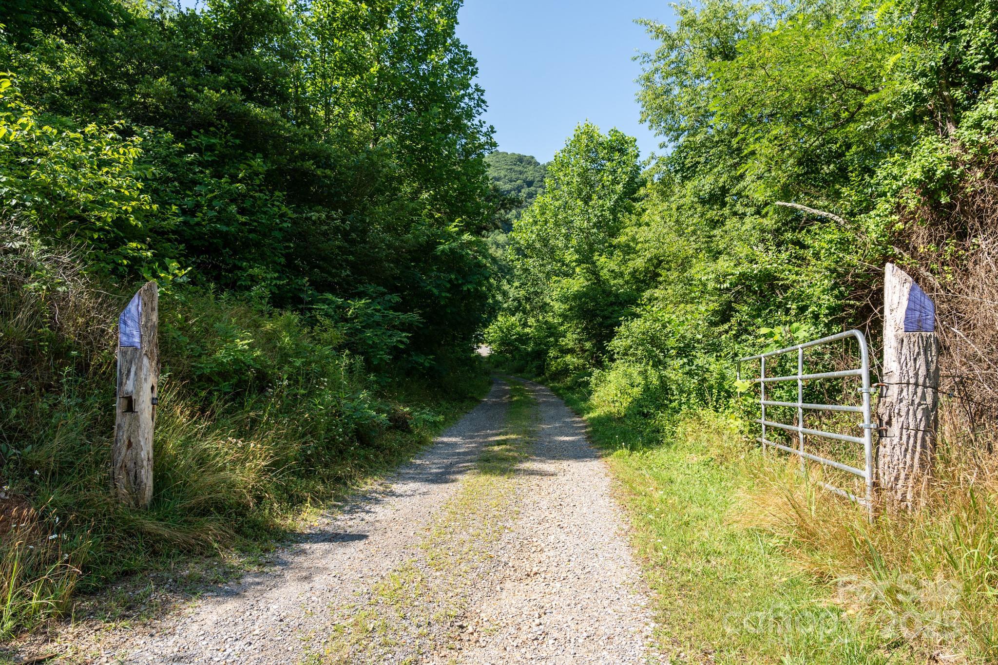 0 Shetley Road Waynesville, NC 28785 - Photo 22 of 34
