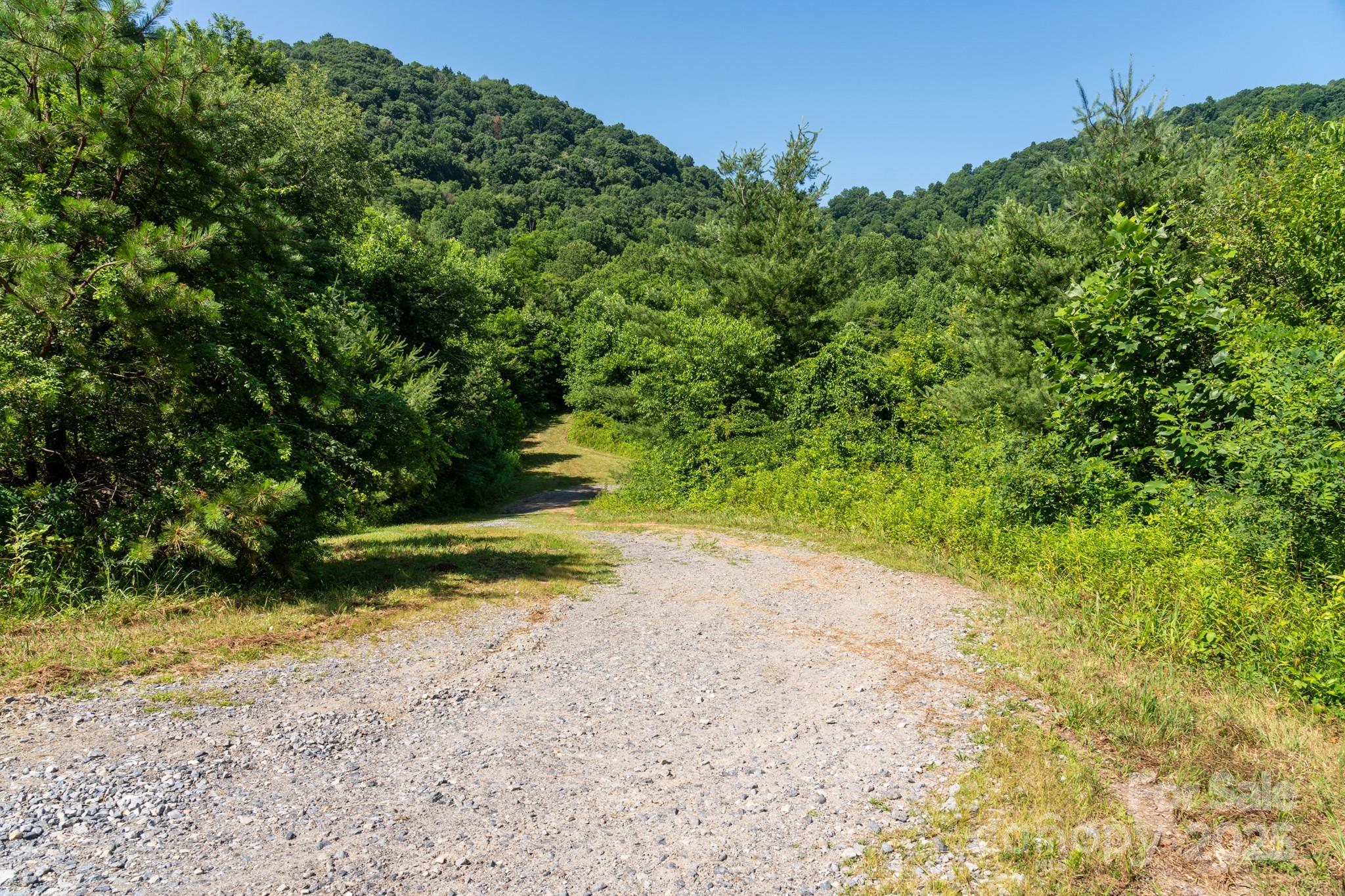 0 Shetley Road Waynesville, NC 28785 - Photo 24 of 34