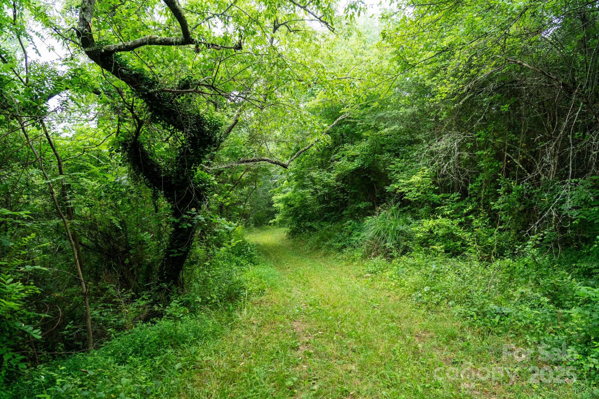 0 Shetley Road Waynesville, NC 28785 - Photo 26 of 34