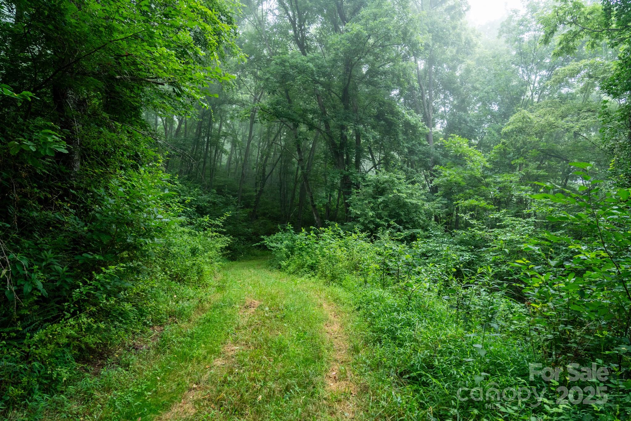 0 Shetley Road Waynesville, NC 28785 - Photo 27 of 34