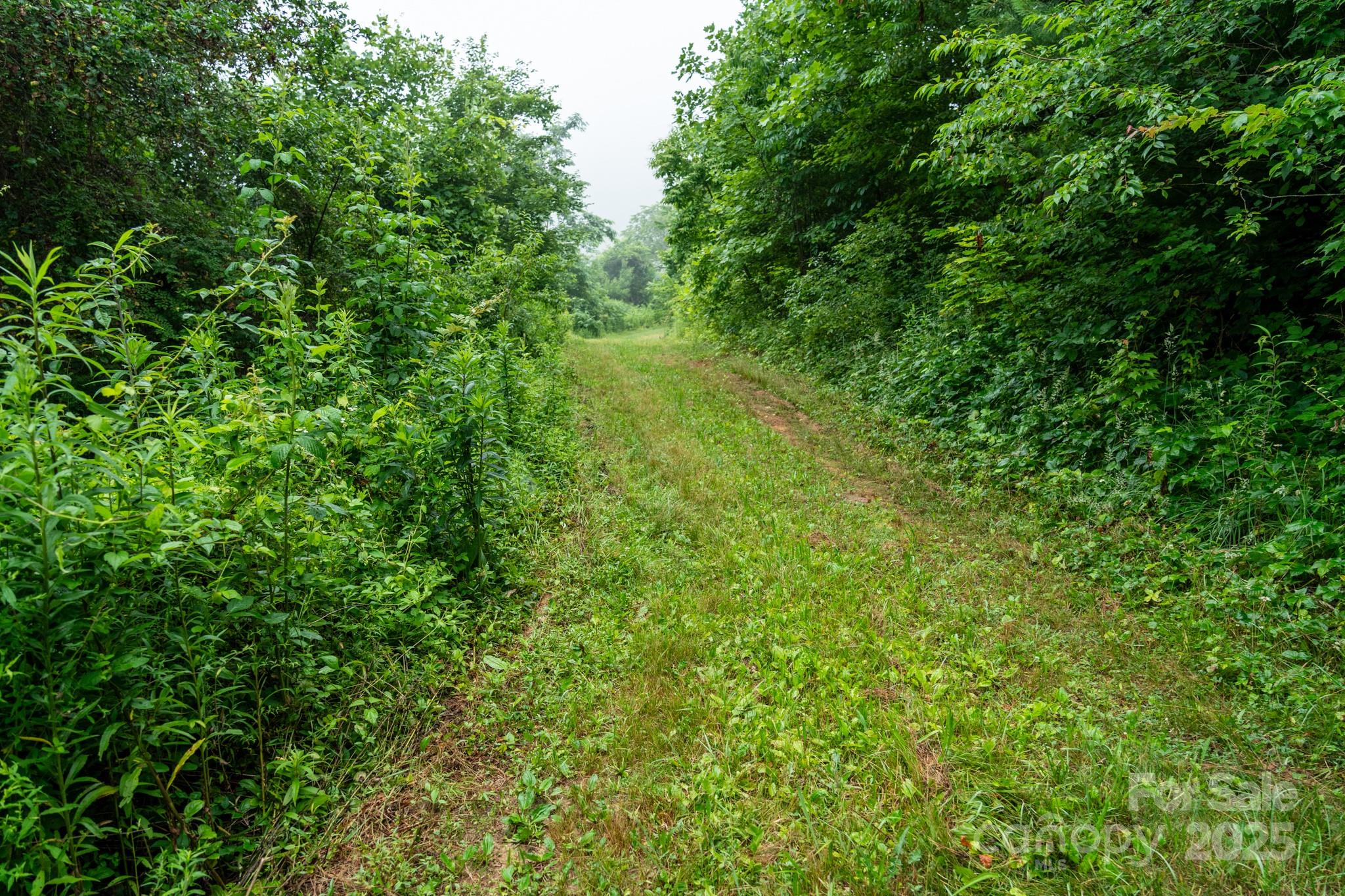 0 Shetley Road Waynesville, NC 28785 - Photo 28 of 34