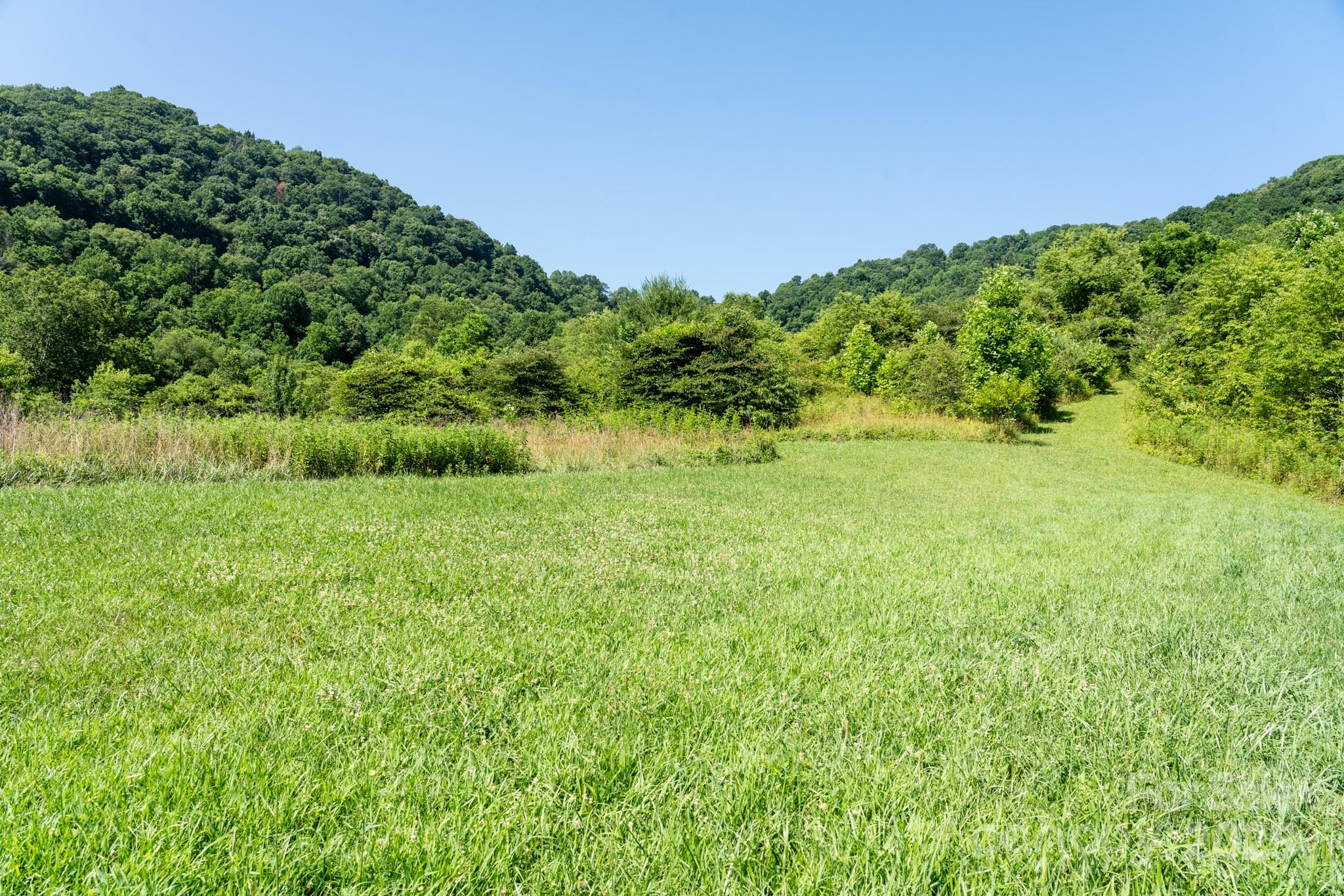 0 Shetley Road Waynesville, NC 28785 - Photo 3 of 34